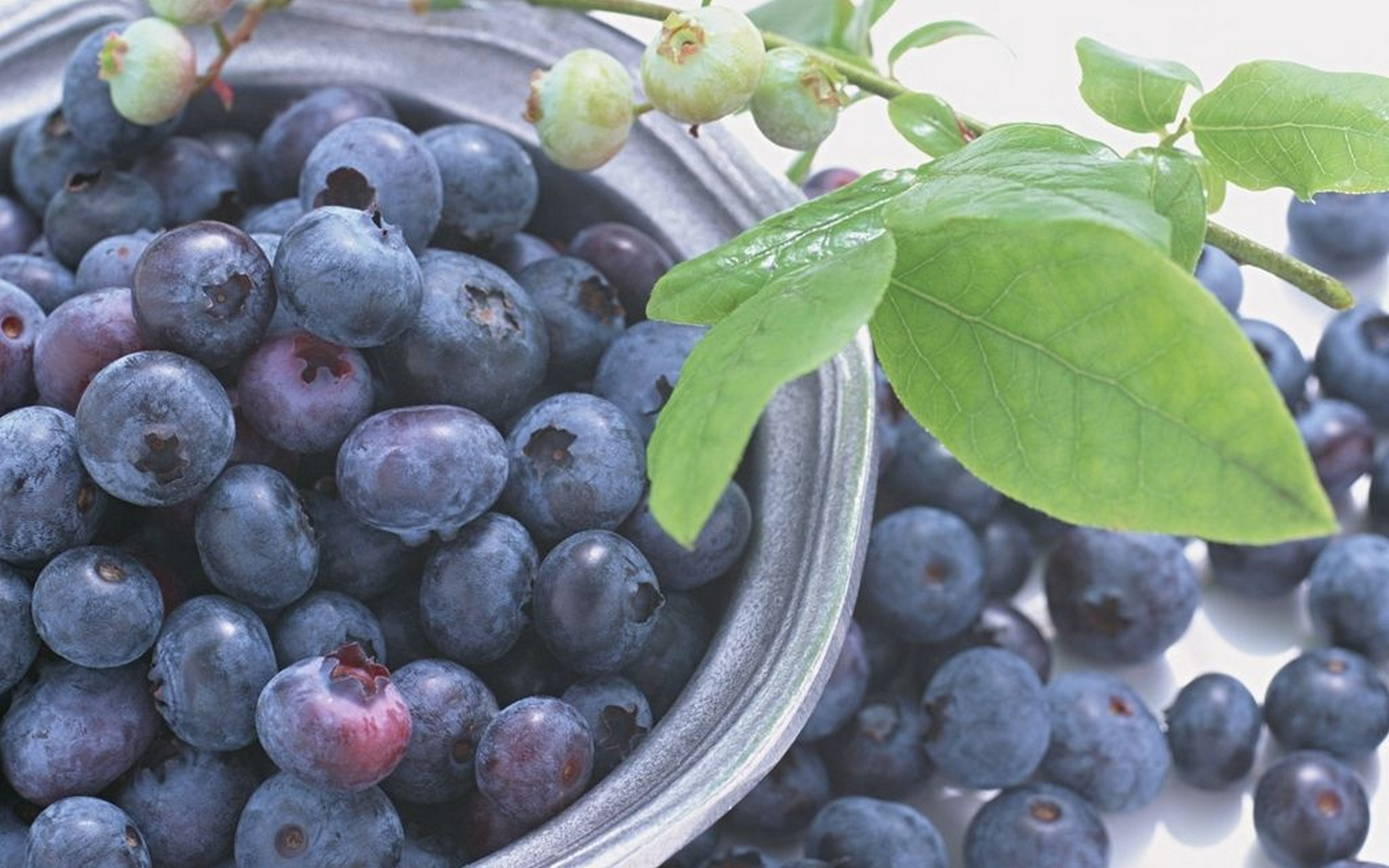 Download mobile wallpaper Food, Blueberry for free.