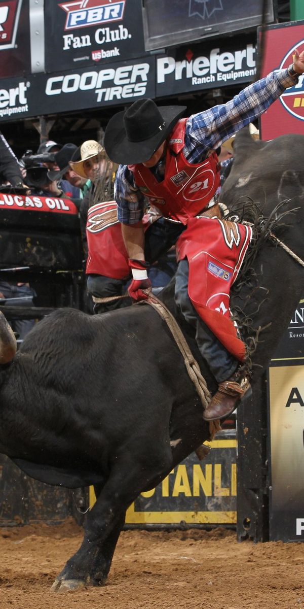 Free Bullriding 4K Wallpapers & Desktop HD Backgrounds for PC
