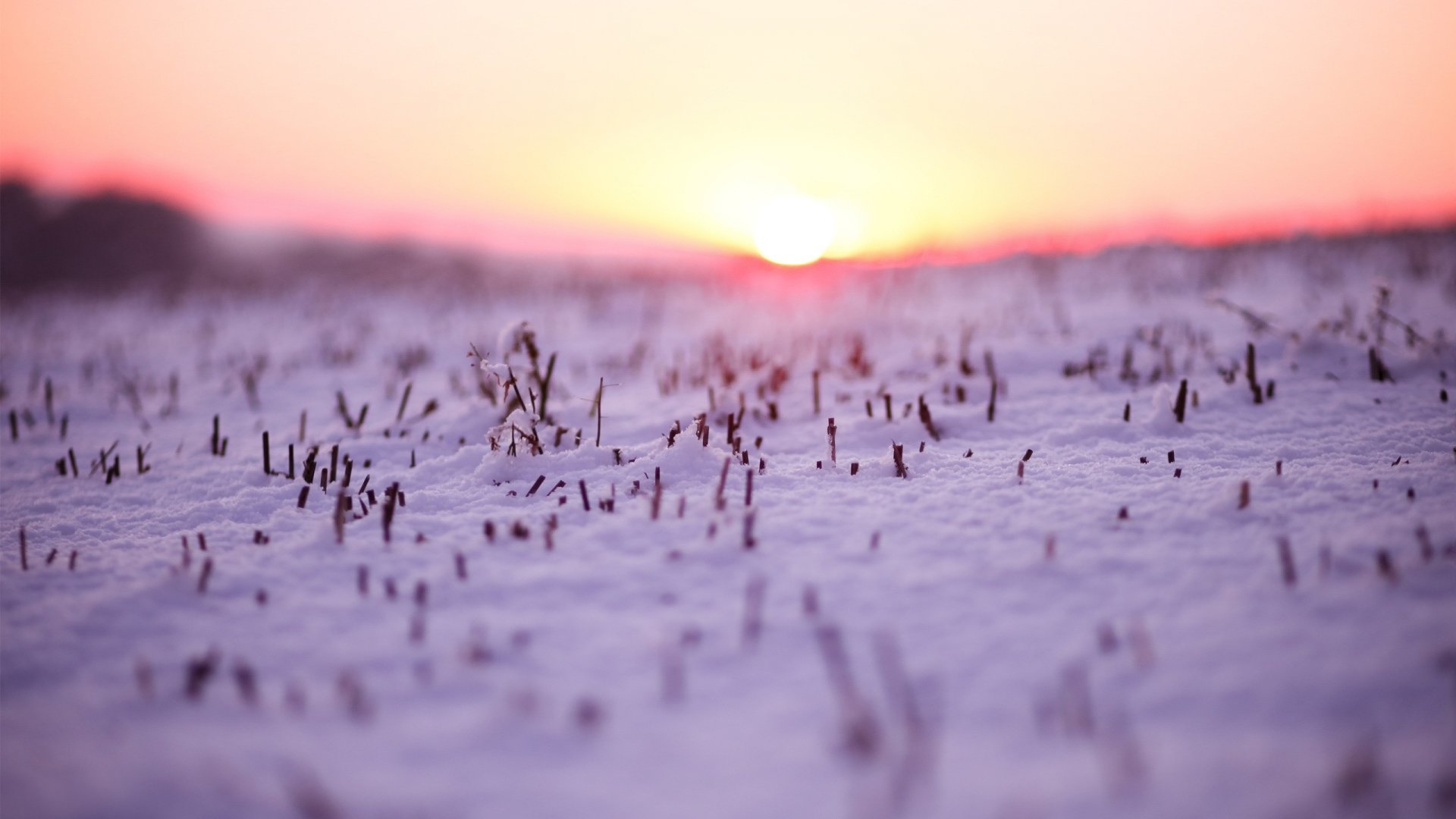 Baixar papel de parede para celular de Inverno, Terra/natureza gratuito.