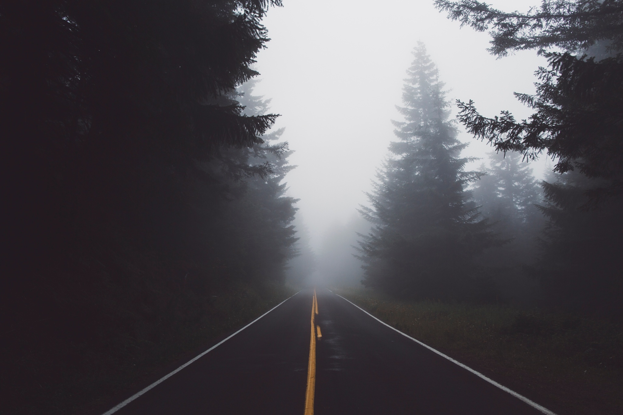 Free download wallpaper Nature, Road, Tree, Fog, Man Made on your PC desktop