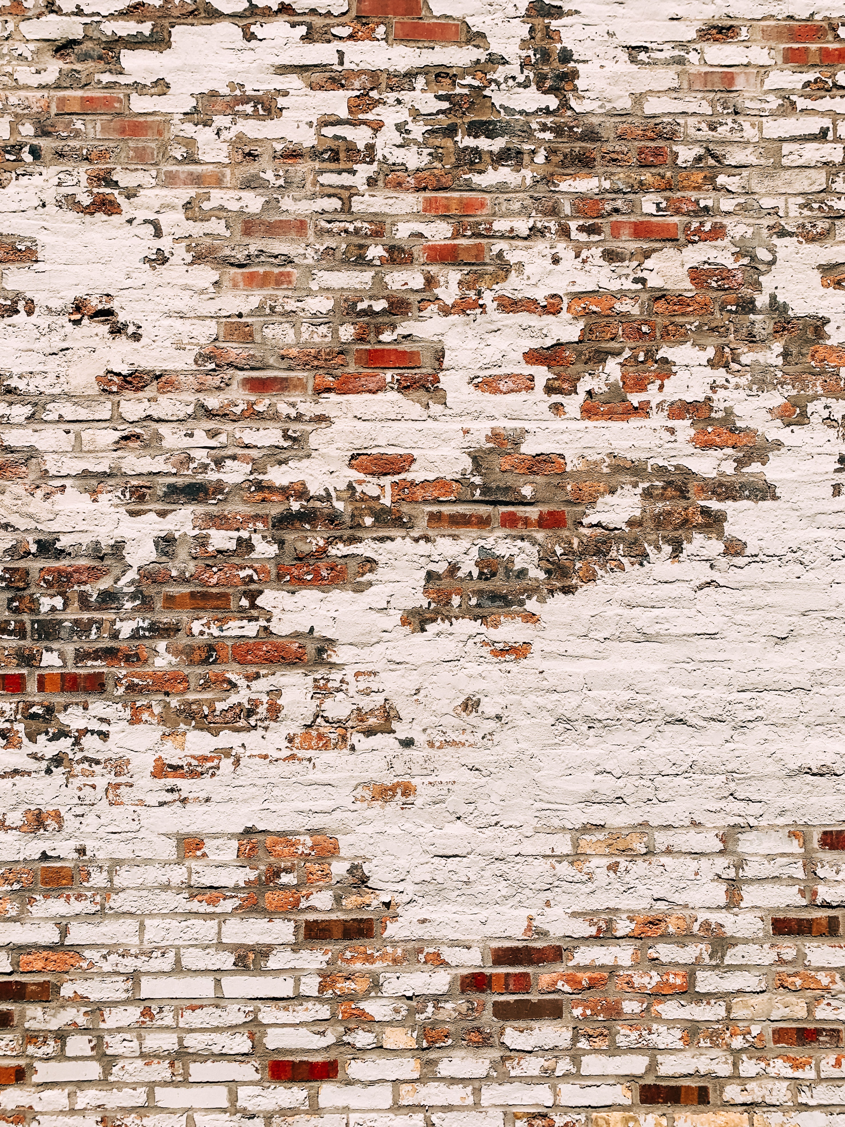 brick wall, textures, texture, wall, plaster