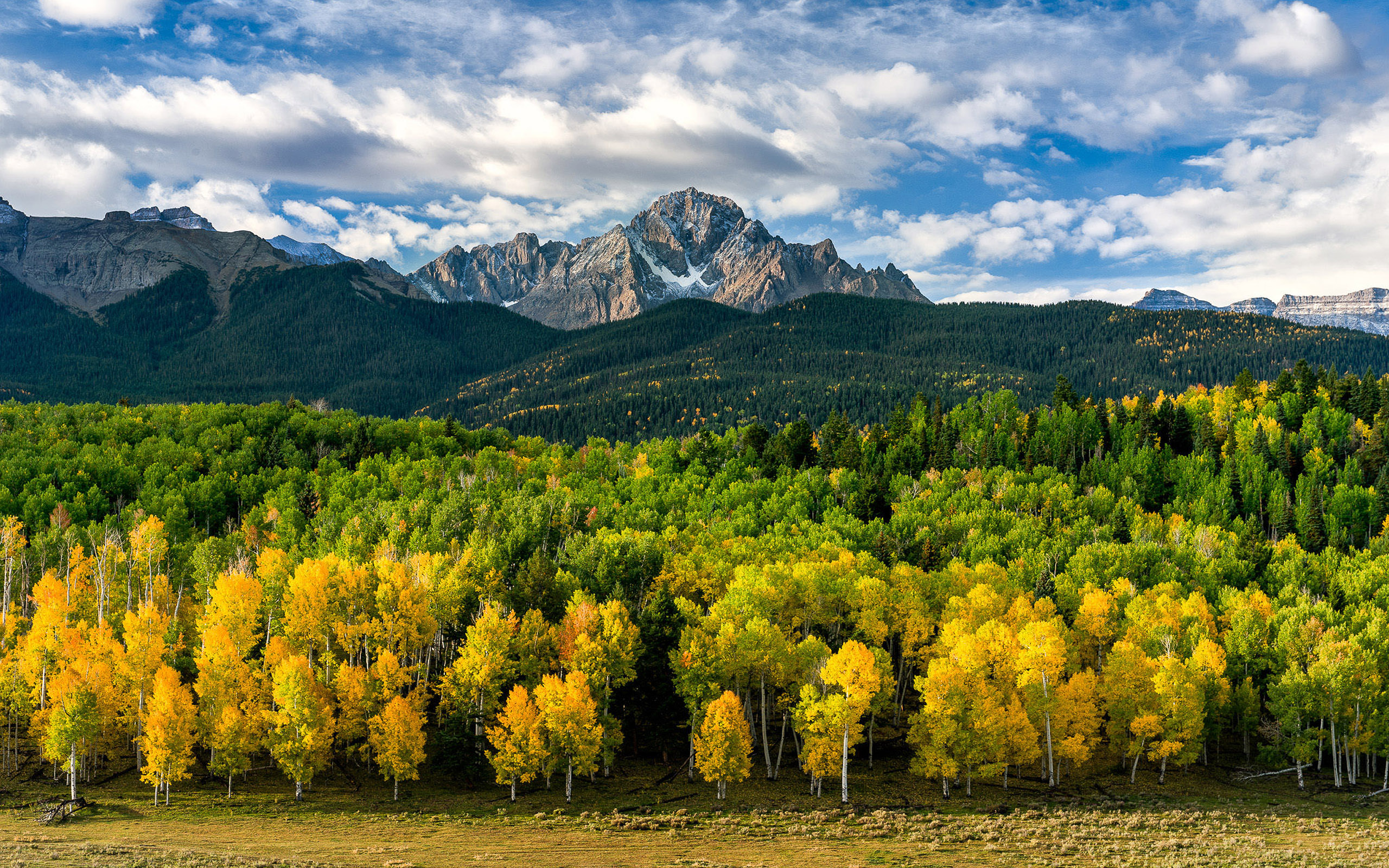 Скачать обои бесплатно Осень, Гора, Лес, Дерево, Земля/природа картинка на рабочий стол ПК