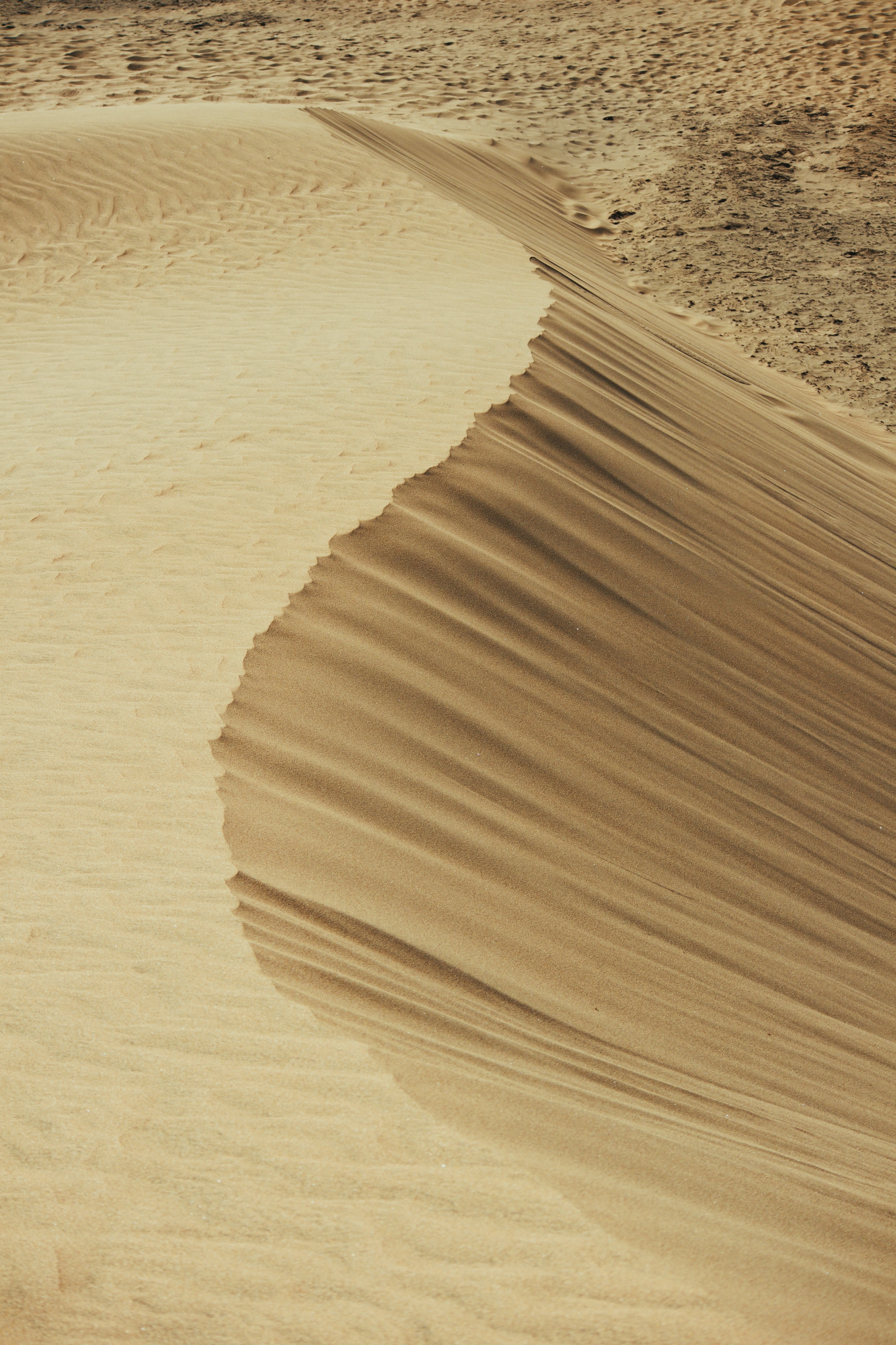 152153 descargar imagen naturaleza, arena, desierto, polvo, dunas: fondos de pantalla y protectores de pantalla gratis