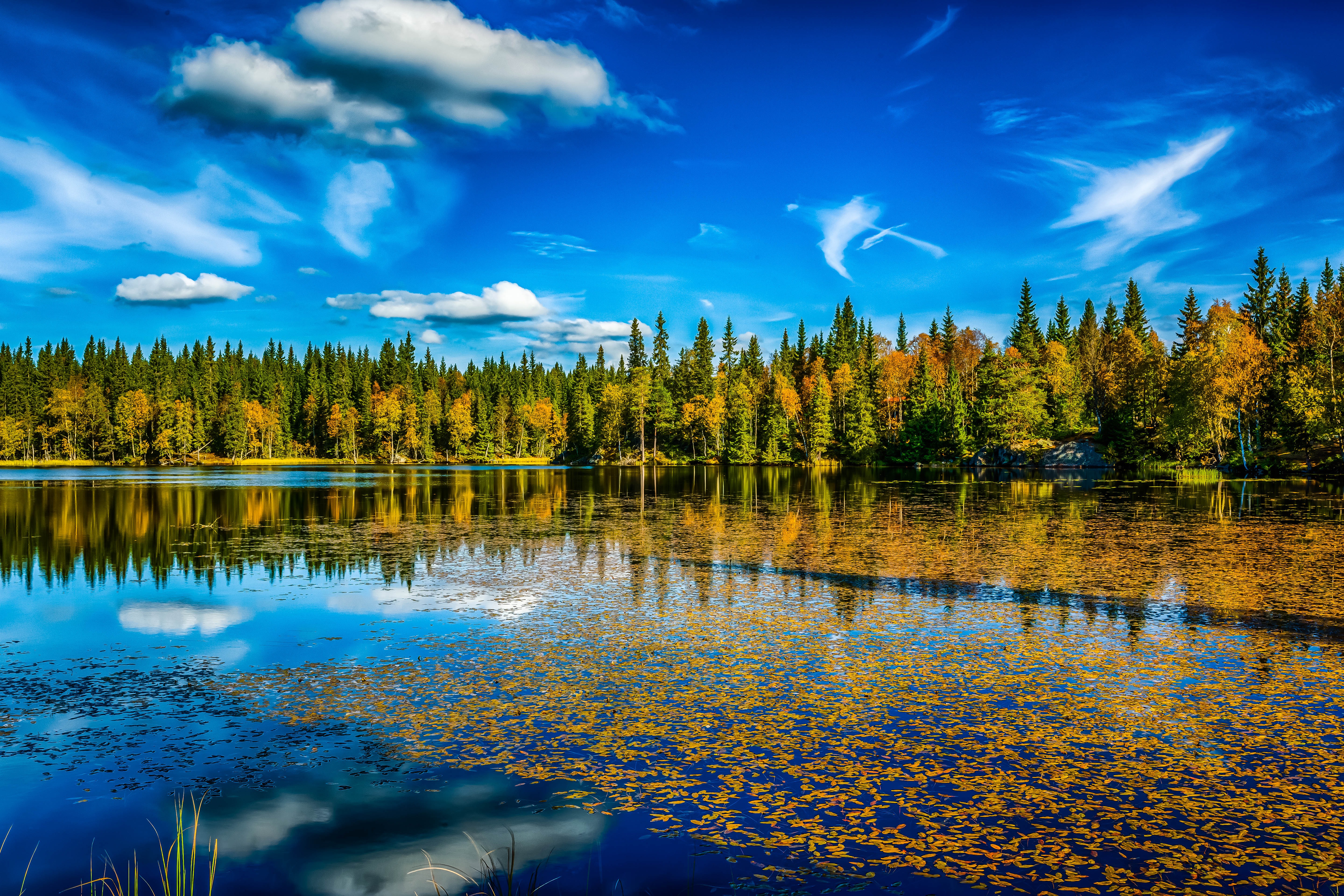 Free download wallpaper Nature, Sky, Lakes, Lake, Reflection, Leaf, Fall, Earth, Cloud on your PC desktop