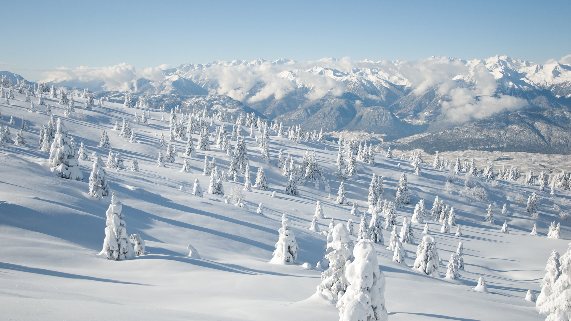 Téléchargez gratuitement l'image Hiver, Terre/nature sur le bureau de votre PC