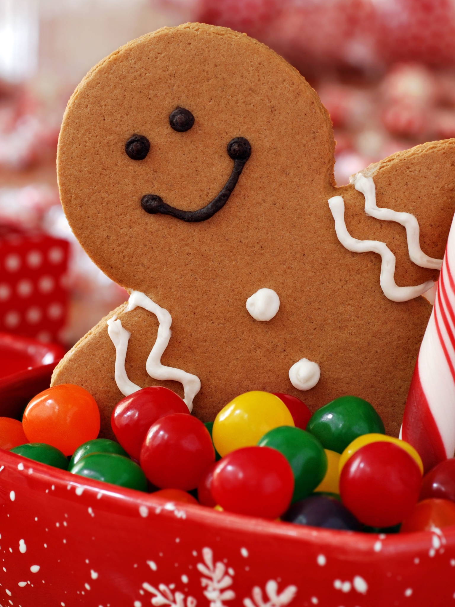 Download mobile wallpaper Christmas, Holiday, Candy, Gingerbread, Cookie, Candy Cane for free.