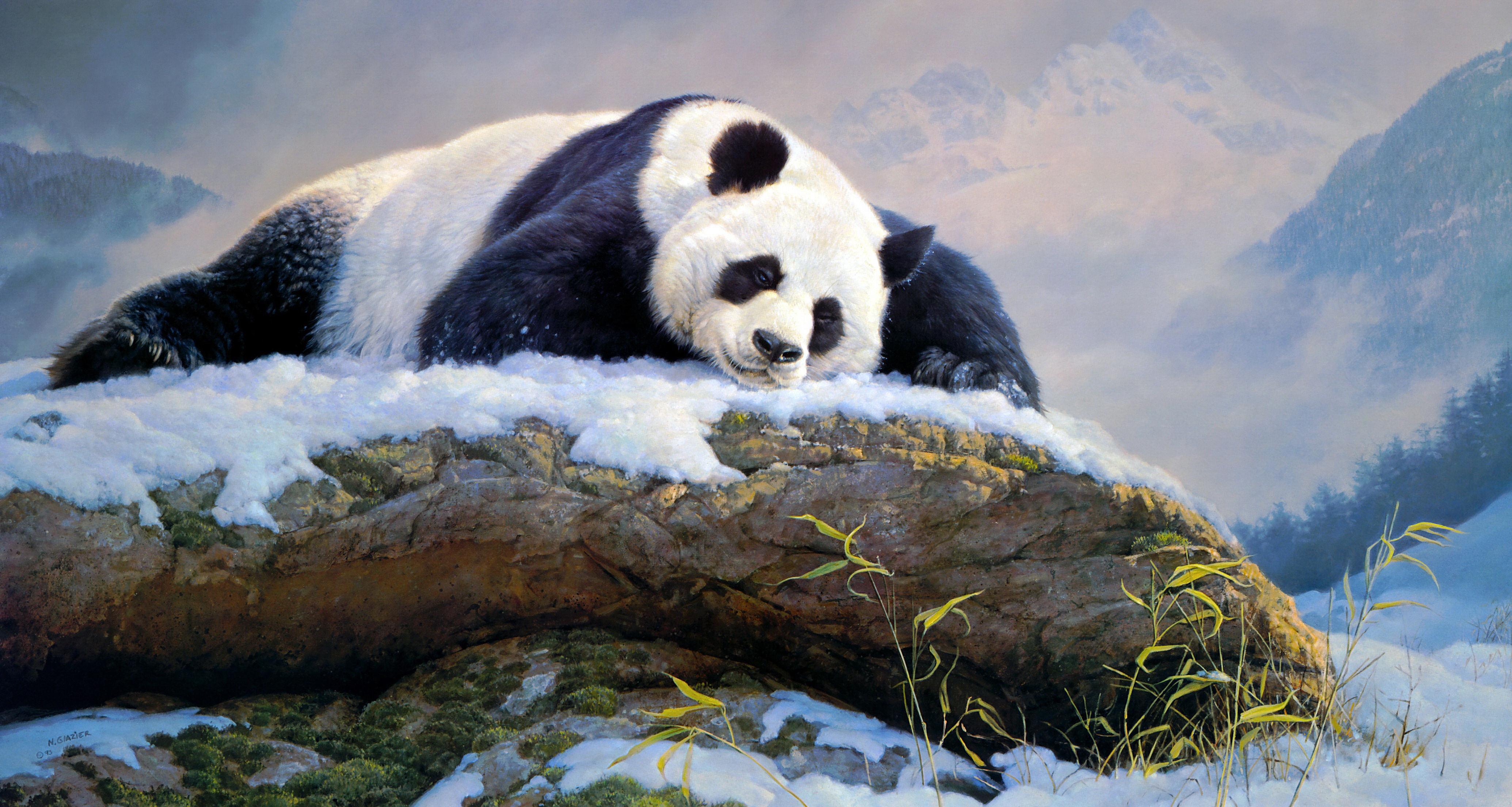 Descarga gratuita de fondo de pantalla para móvil de Animales, Pintura, Panda, Dormido.