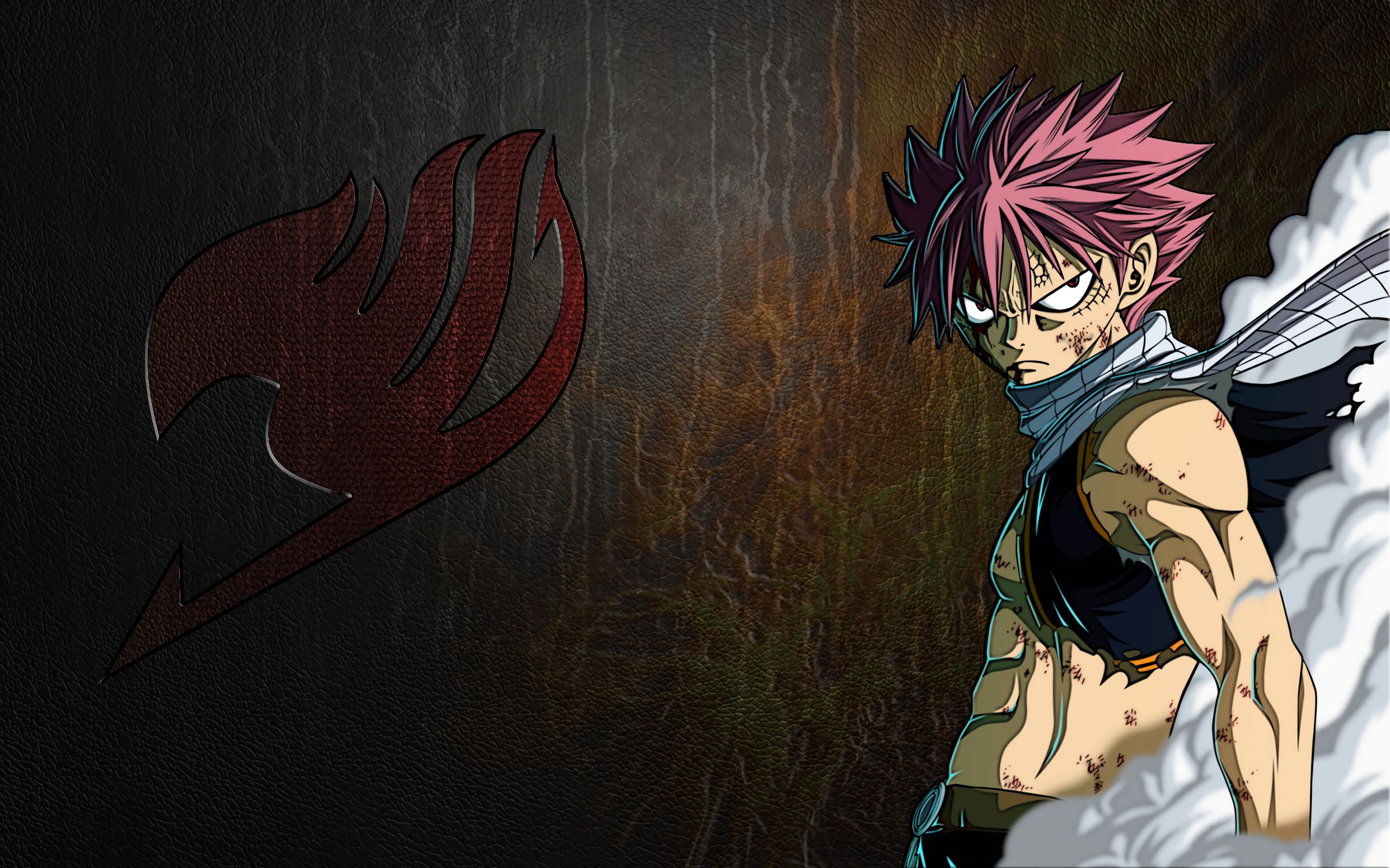 Download mobile wallpaper Anime, Fairy Tail, Natsu Dragneel for free.