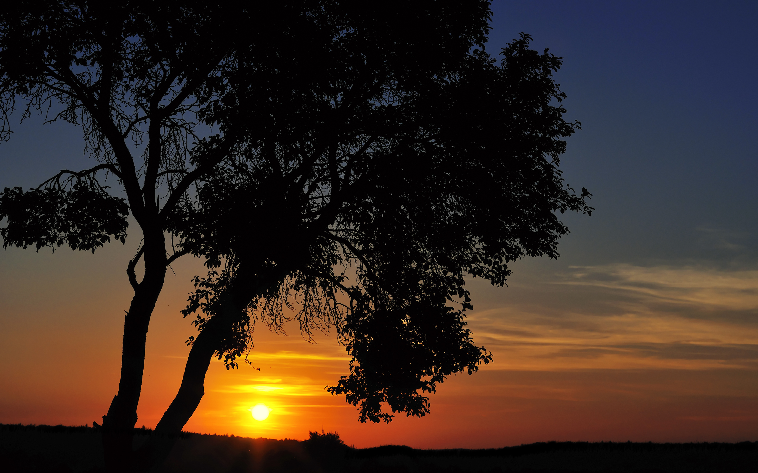 Download mobile wallpaper Sunset, Silhouette, Tree, Earth for free.