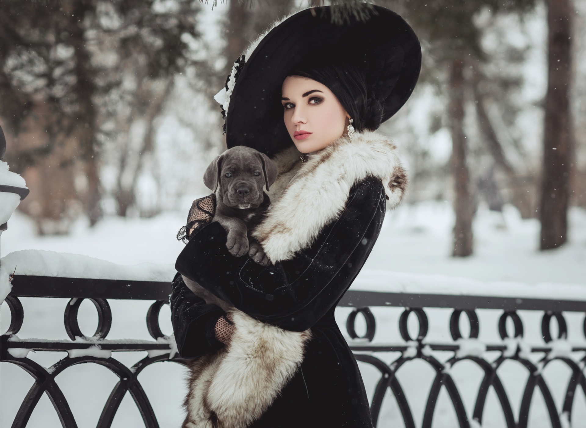 Download mobile wallpaper Winter, Dog, Puppy, Hat, Fur, Model, Women, Depth Of Field for free.