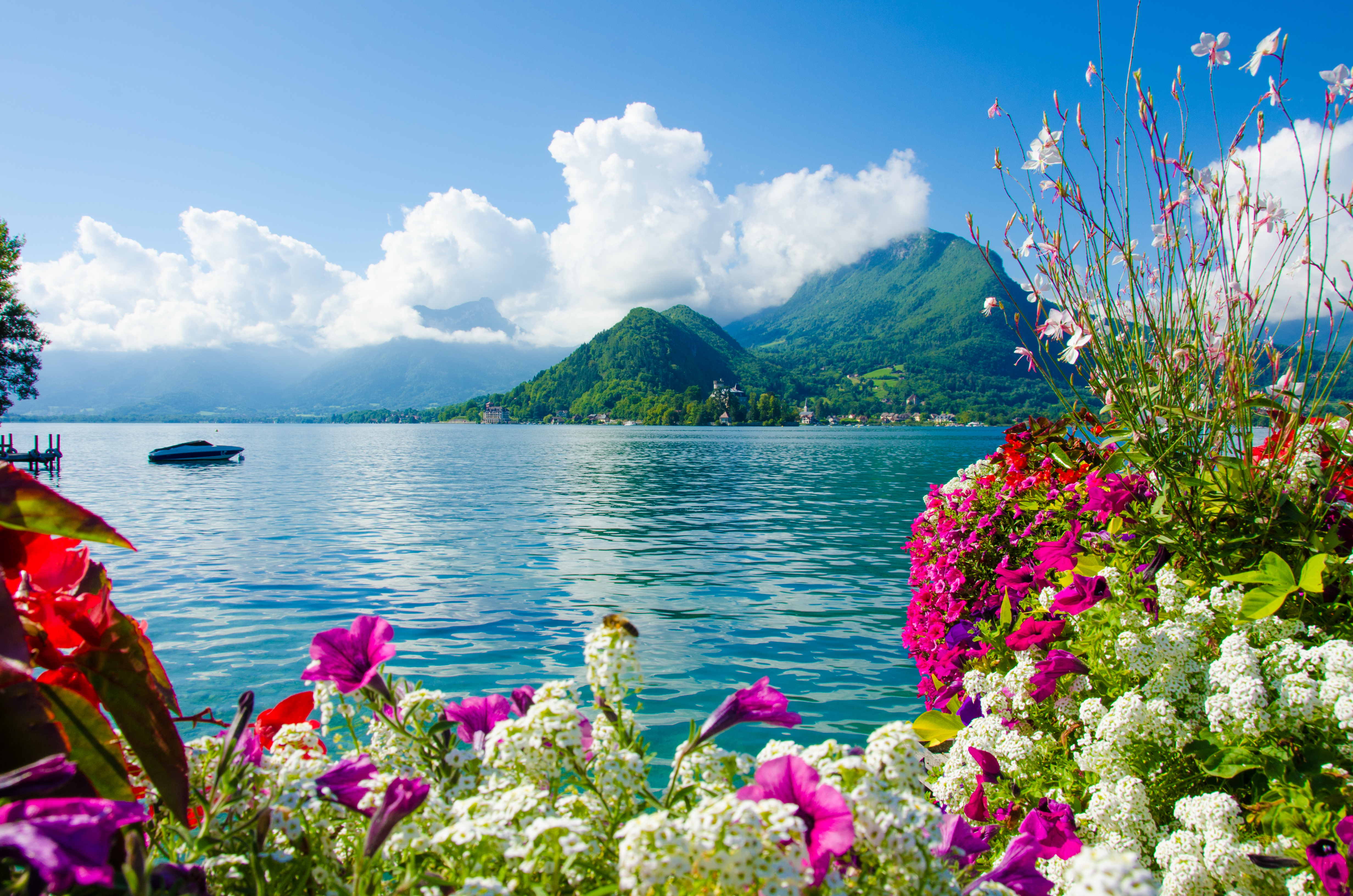 Free download wallpaper Lakes, Lake, Flower, Photography on your PC desktop