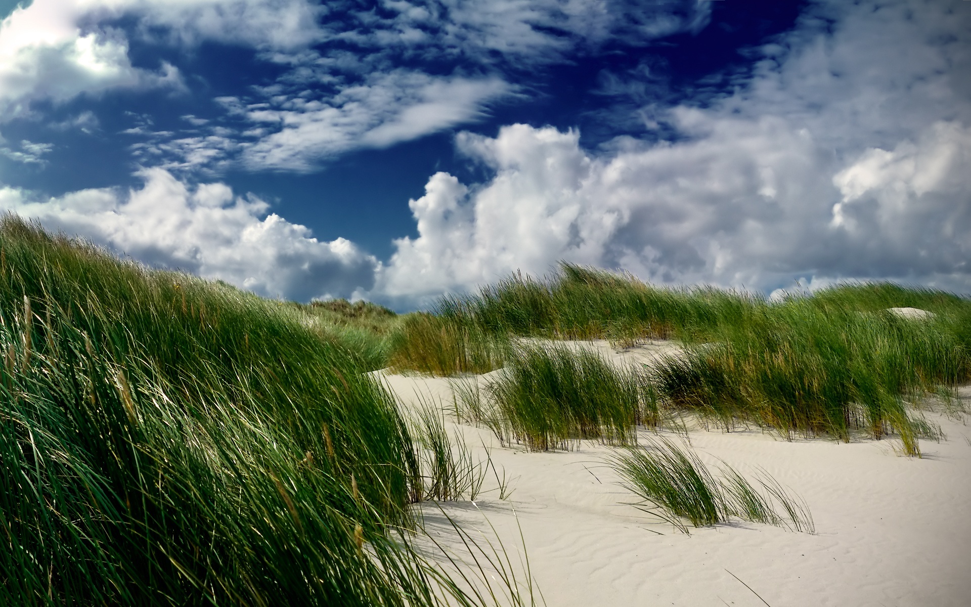 Download mobile wallpaper Grass, Sky, Beach, Sand, Earth, Cloud for free.