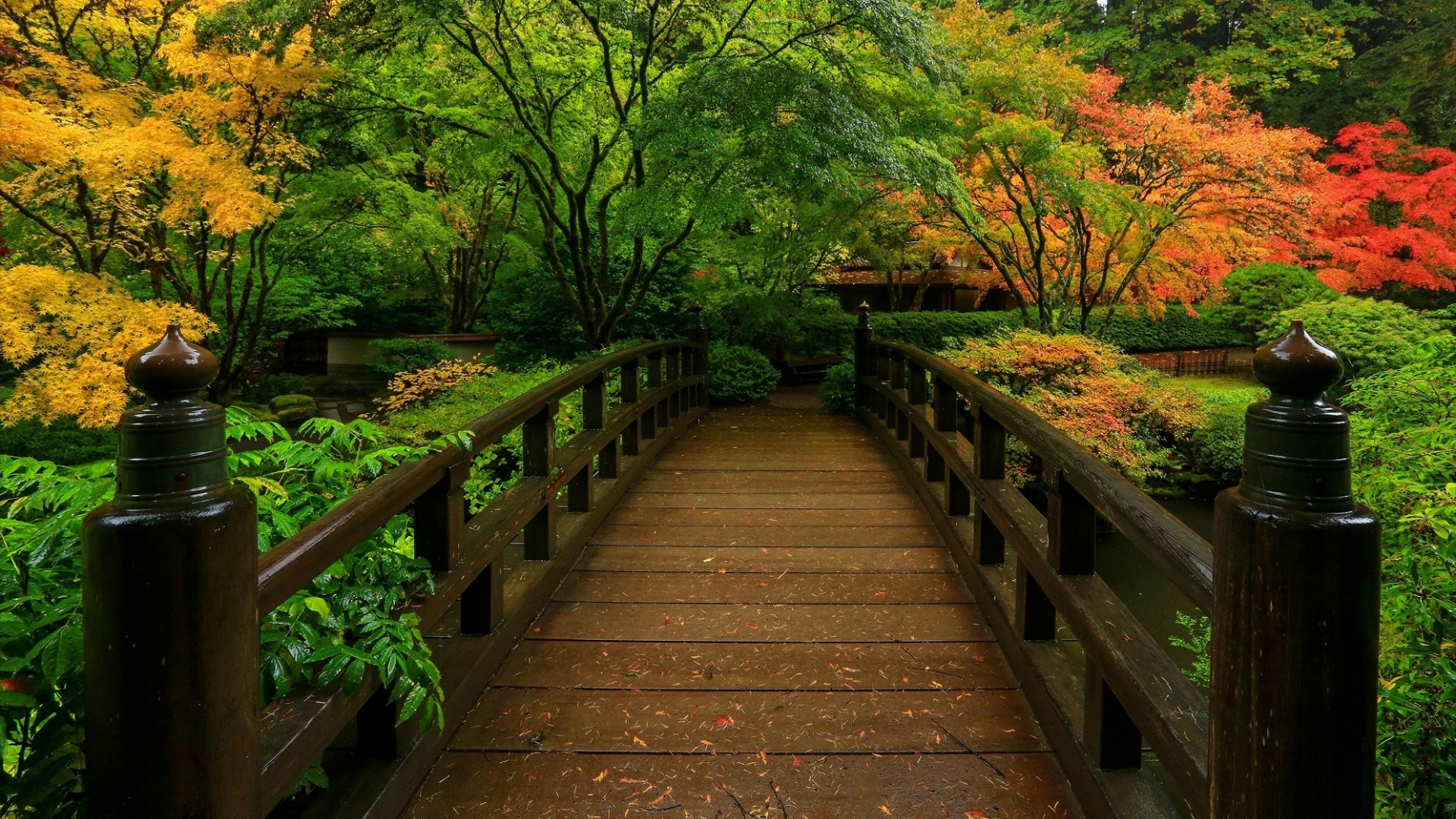 778648 descargar fondo de pantalla jardín japonés, hecho por el hombre, puente, otoño: protectores de pantalla e imágenes gratis