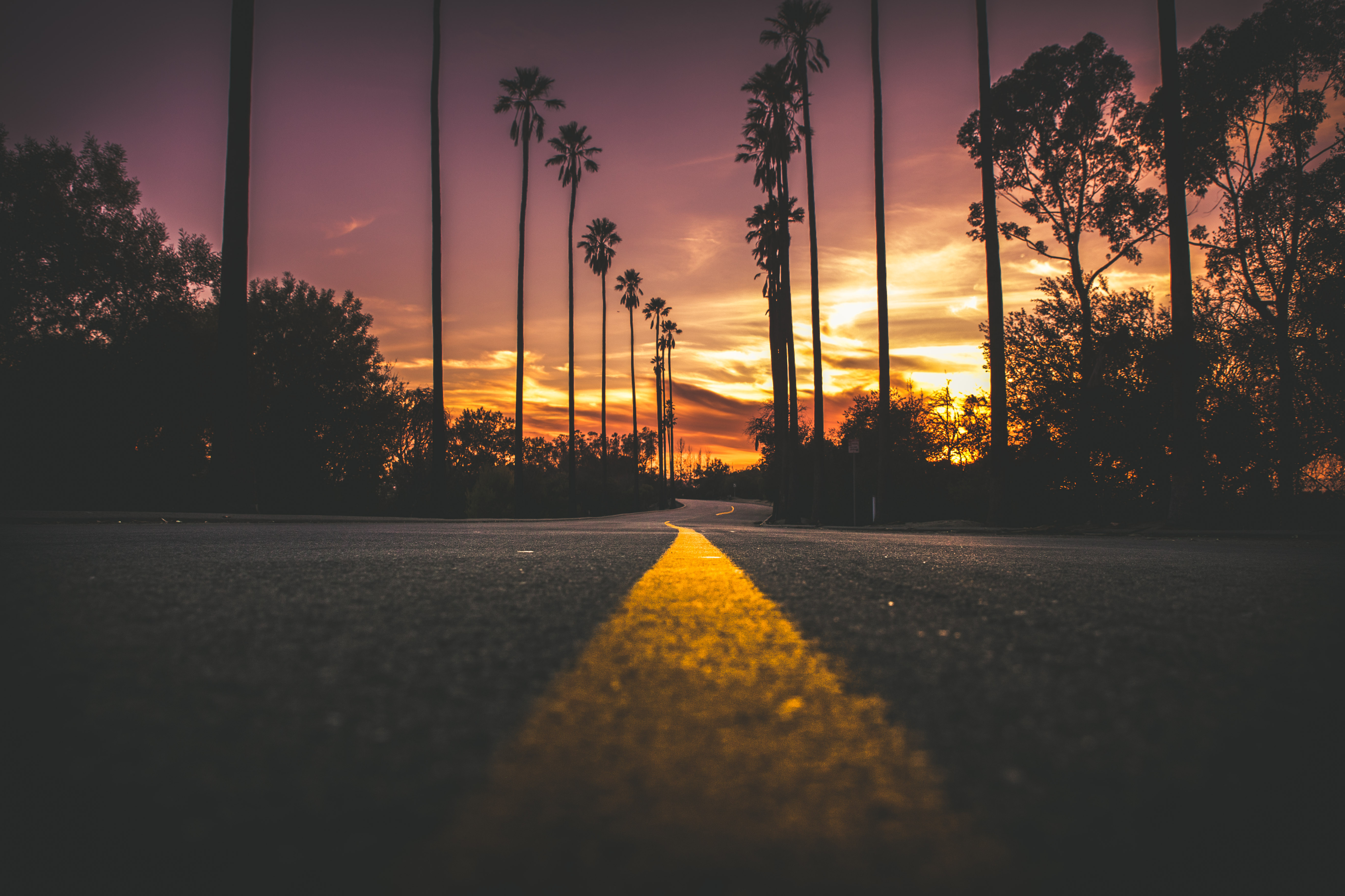 Download mobile wallpaper Sunset, Road, Man Made, Tree Lined for free.