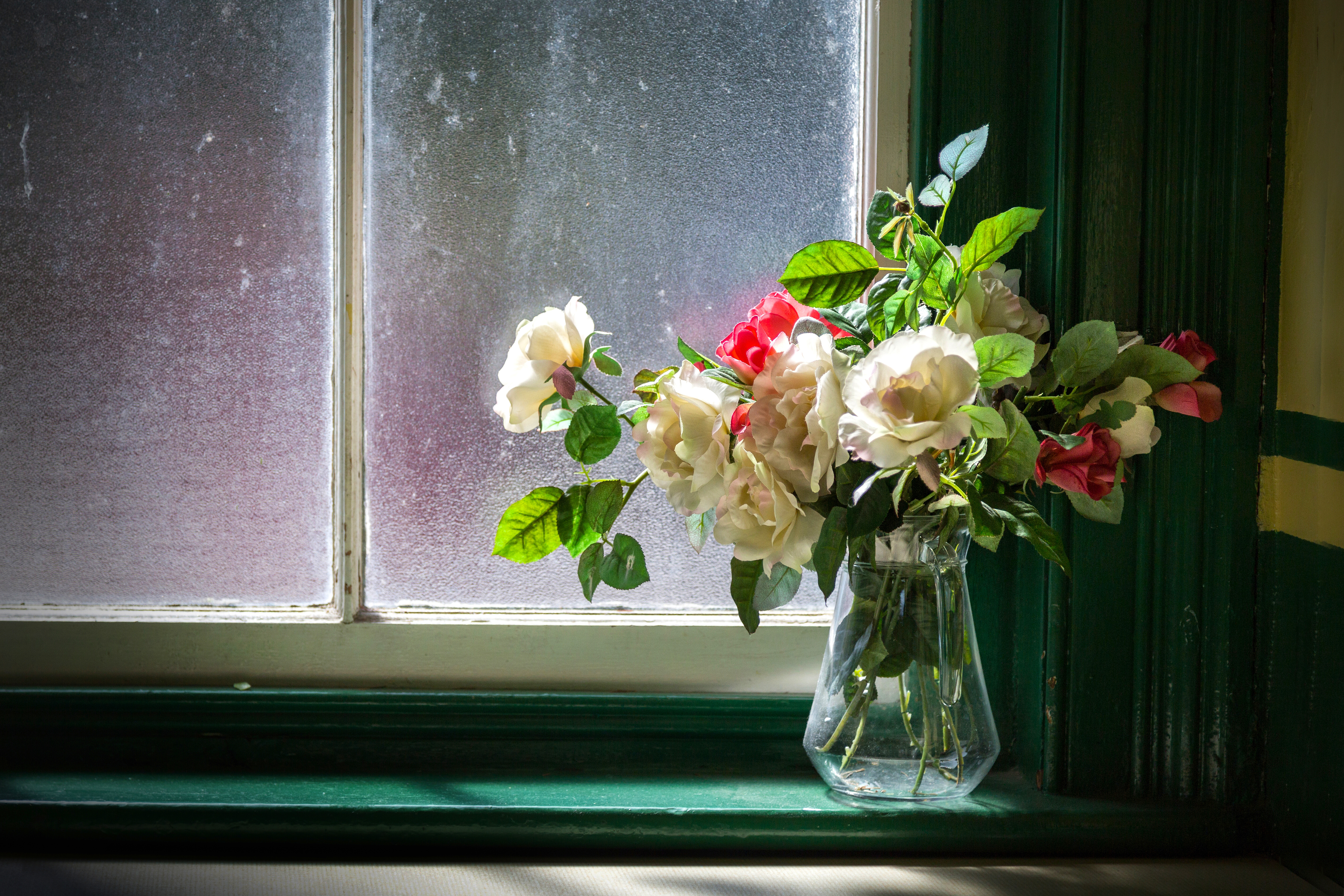 Free download wallpaper Still Life, Flower, Window, Vase, Photography, White Flower on your PC desktop