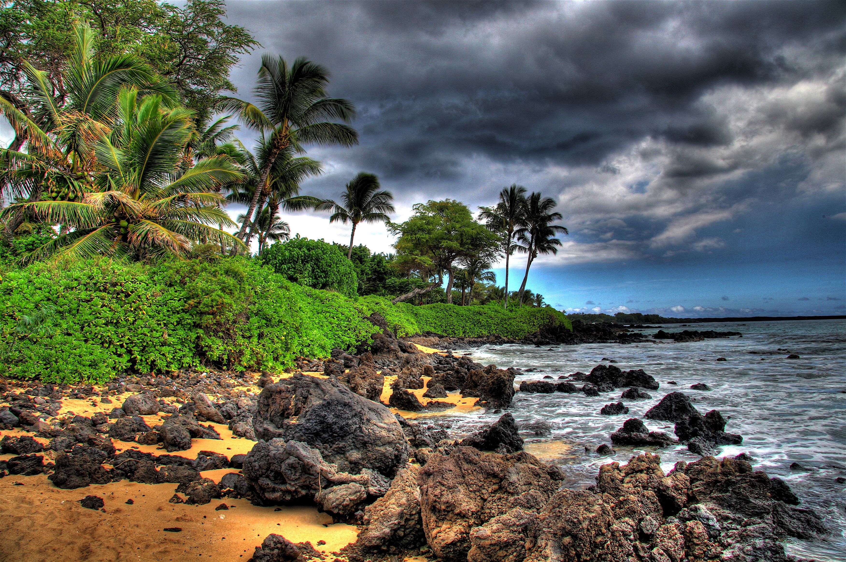 Download mobile wallpaper Earth, Tropics, Island, Tropical, Cloud, Palm Tree, Seashore for free.