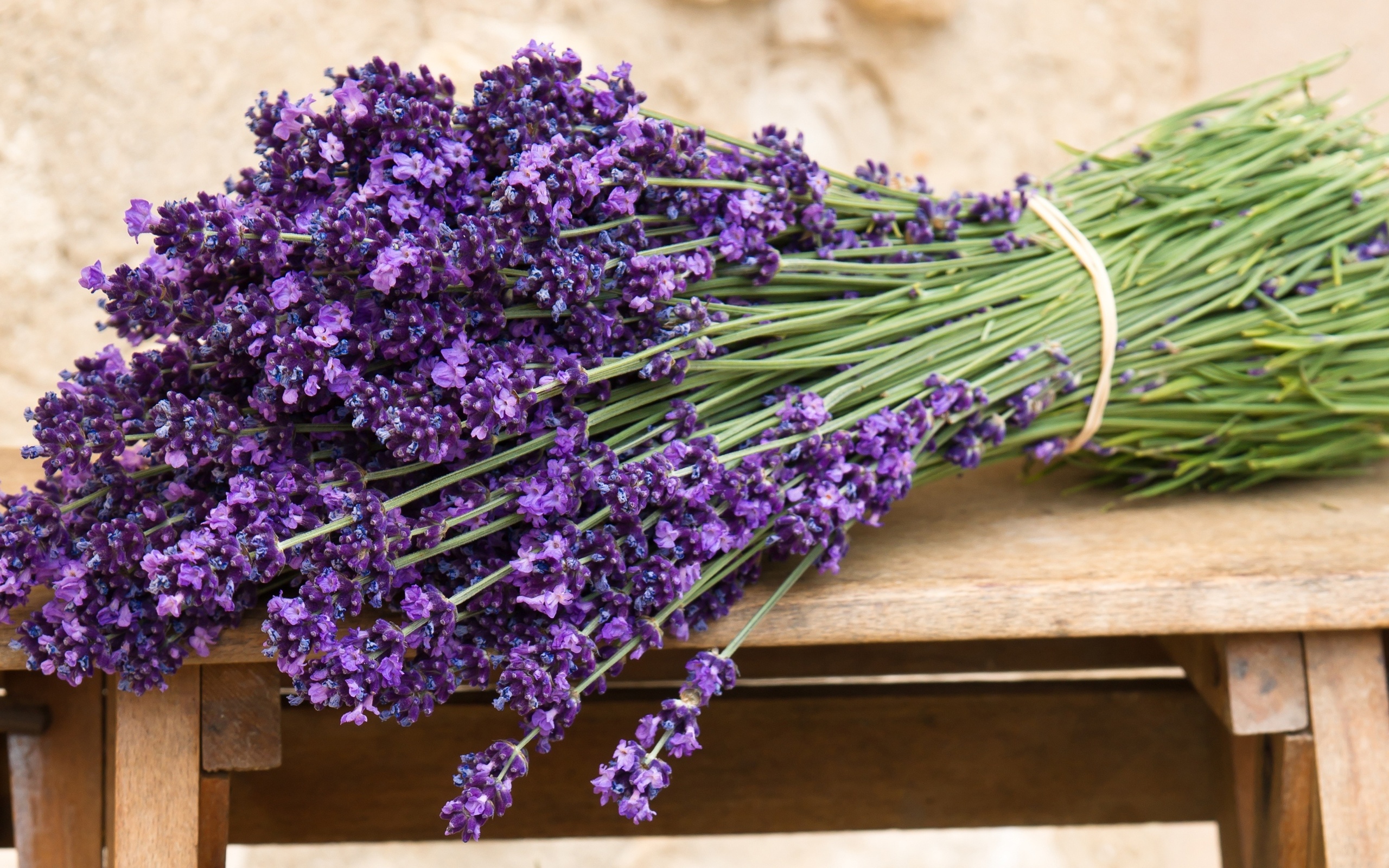 Laden Sie das Blumen, Blume, Lavendel, Erde/natur-Bild kostenlos auf Ihren PC-Desktop herunter