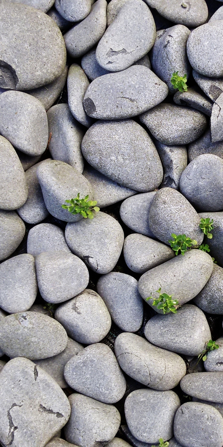 Descarga gratuita de fondo de pantalla para móvil de Piedra, Tierra/naturaleza.