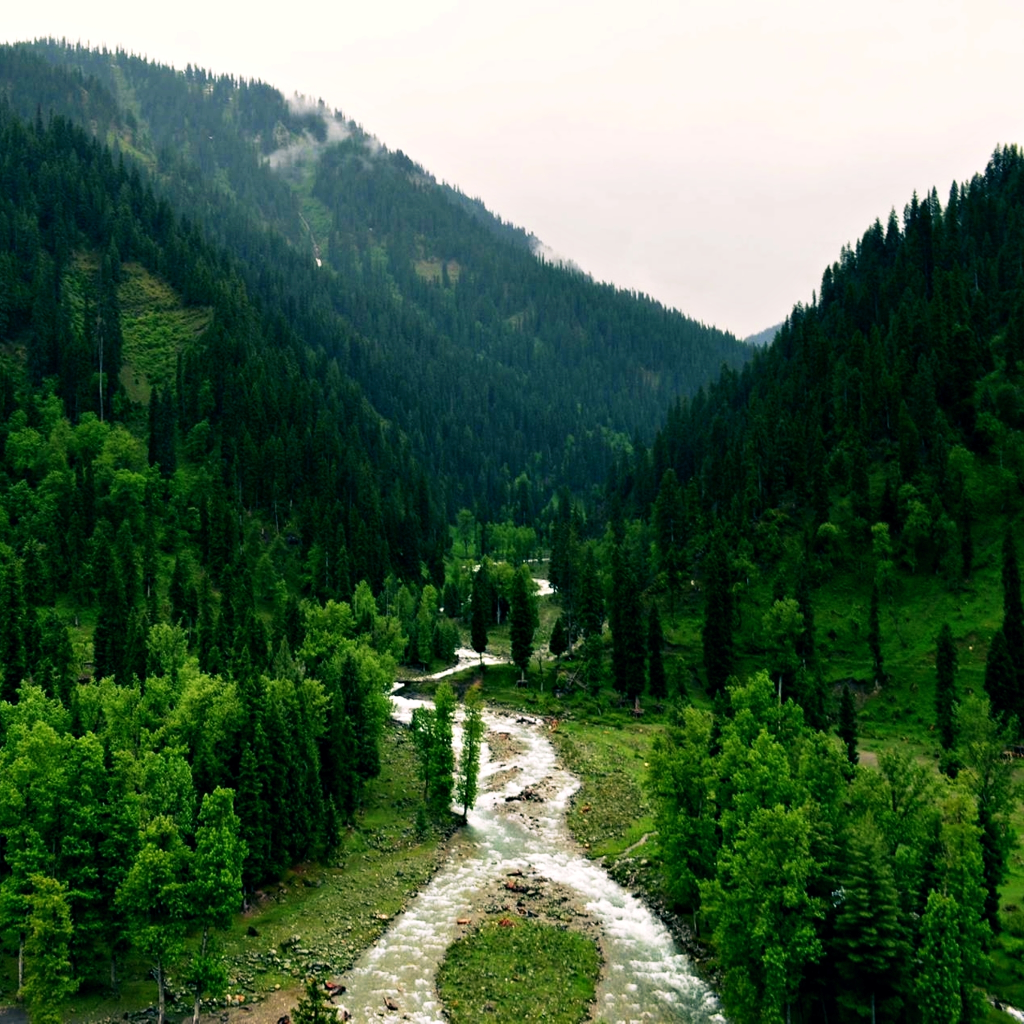 Free download wallpaper Landscape, Nature, Forest, Tree, Earth, River, Pakistan, Kashmir, Tao Butt on your PC desktop