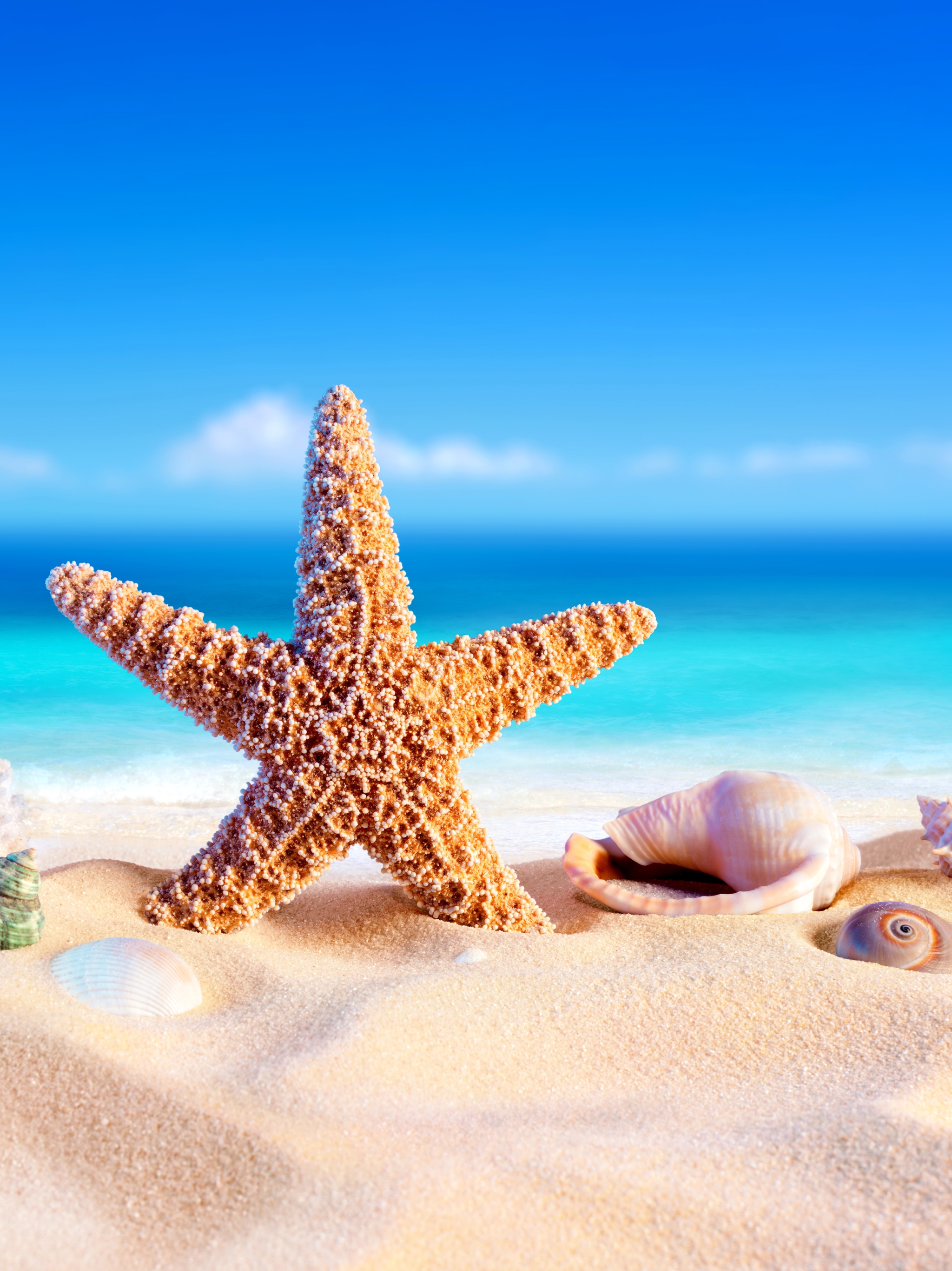 Download mobile wallpaper Beach, Sand, Summer, Starfish, Artistic, Shell for free.