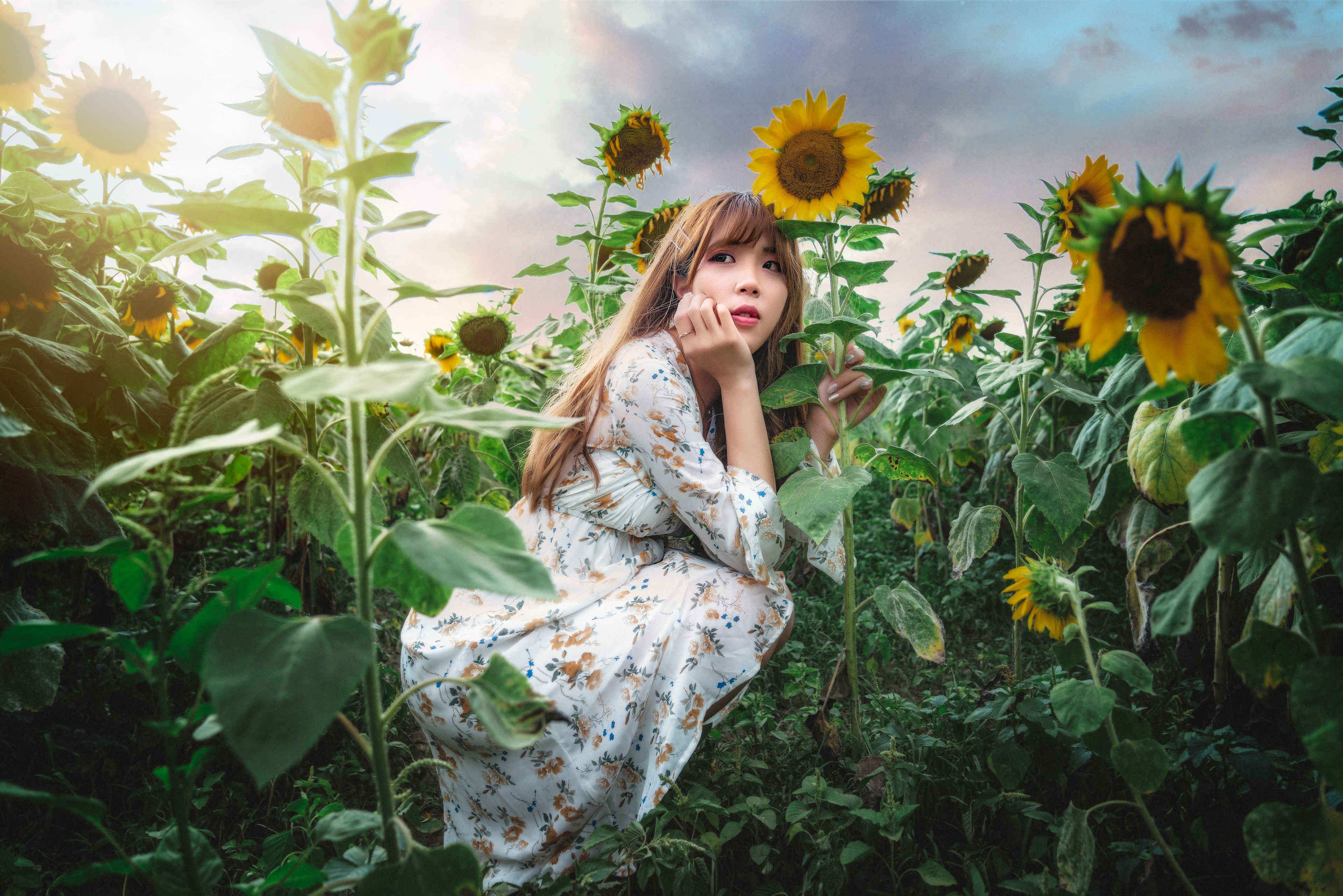 Laden Sie das Sonnenblume, Kleid, Brünette, Modell, Frauen, Asiatinnen-Bild kostenlos auf Ihren PC-Desktop herunter