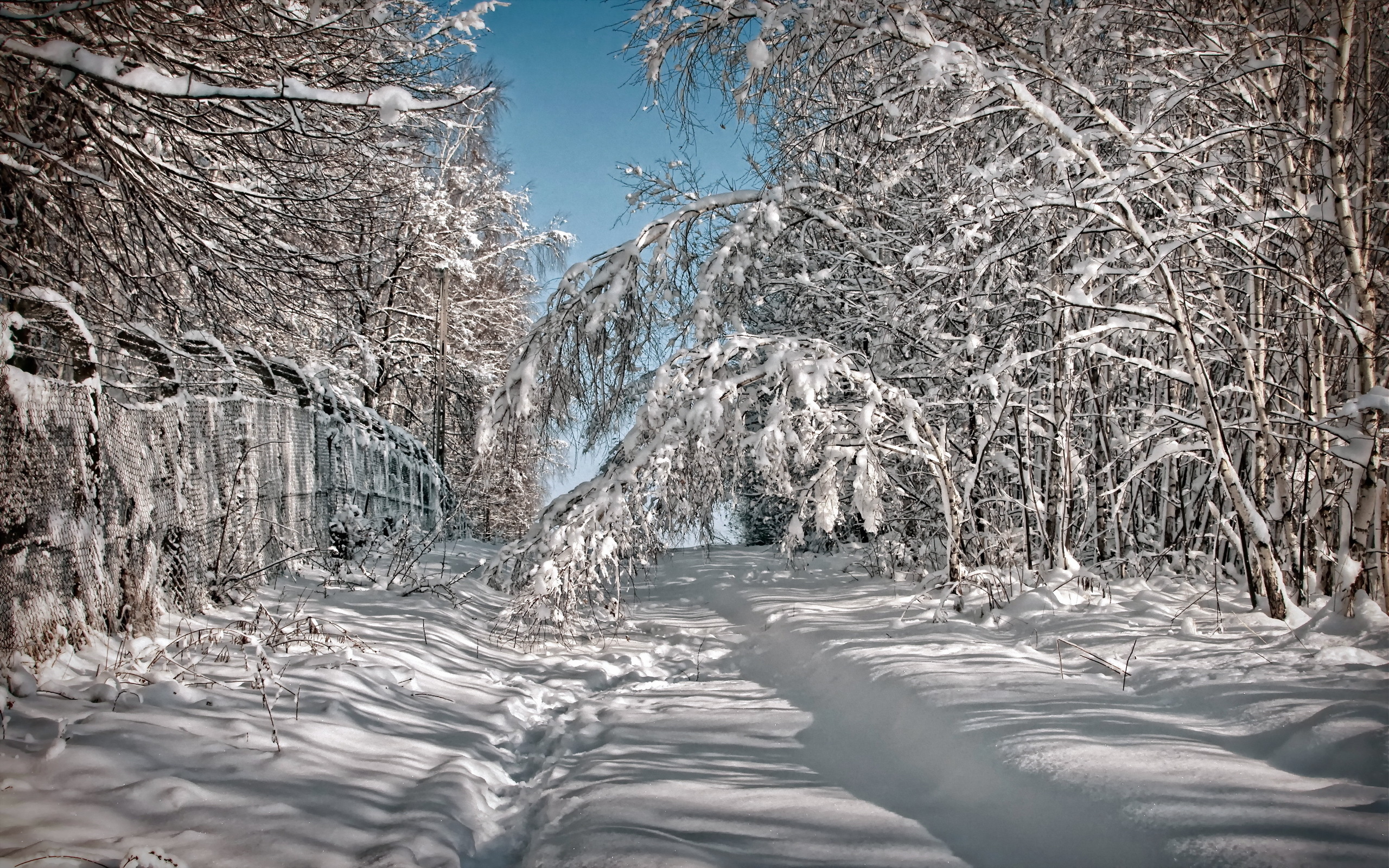 Téléchargez des papiers peints mobile Hiver, Terre/nature gratuitement.