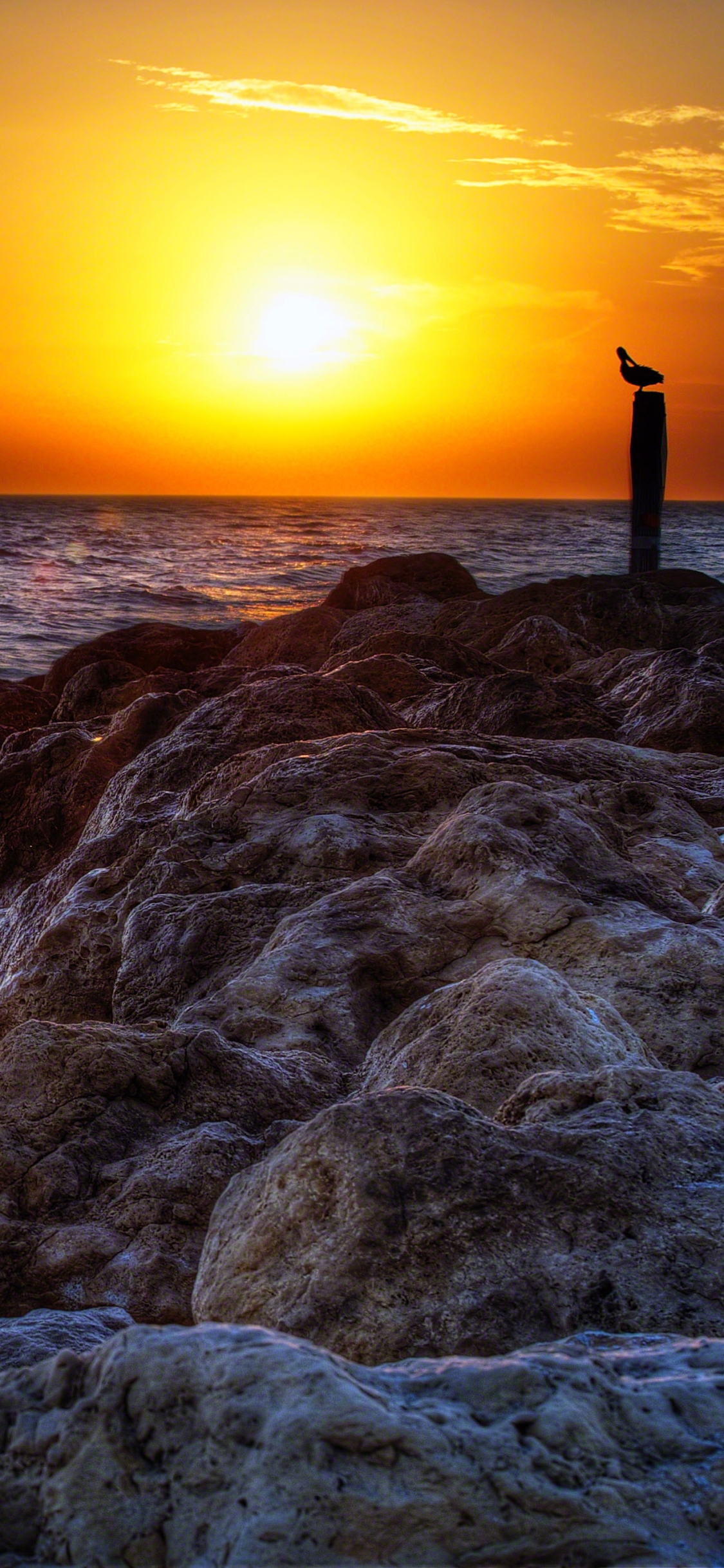 Handy-Wallpaper Natur, Vogel, Hdr, Fotografie, Meer, Himmel, Sonnenuntergang kostenlos herunterladen.