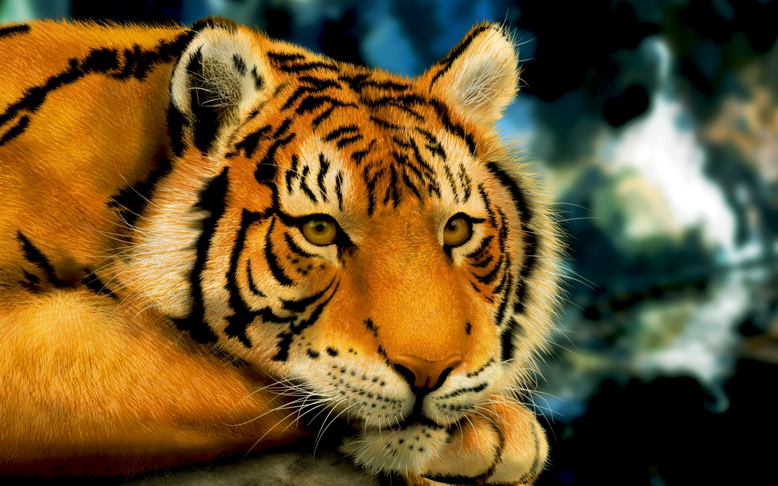 PCデスクトップに動物, 阪神タイガース画像を無料でダウンロード