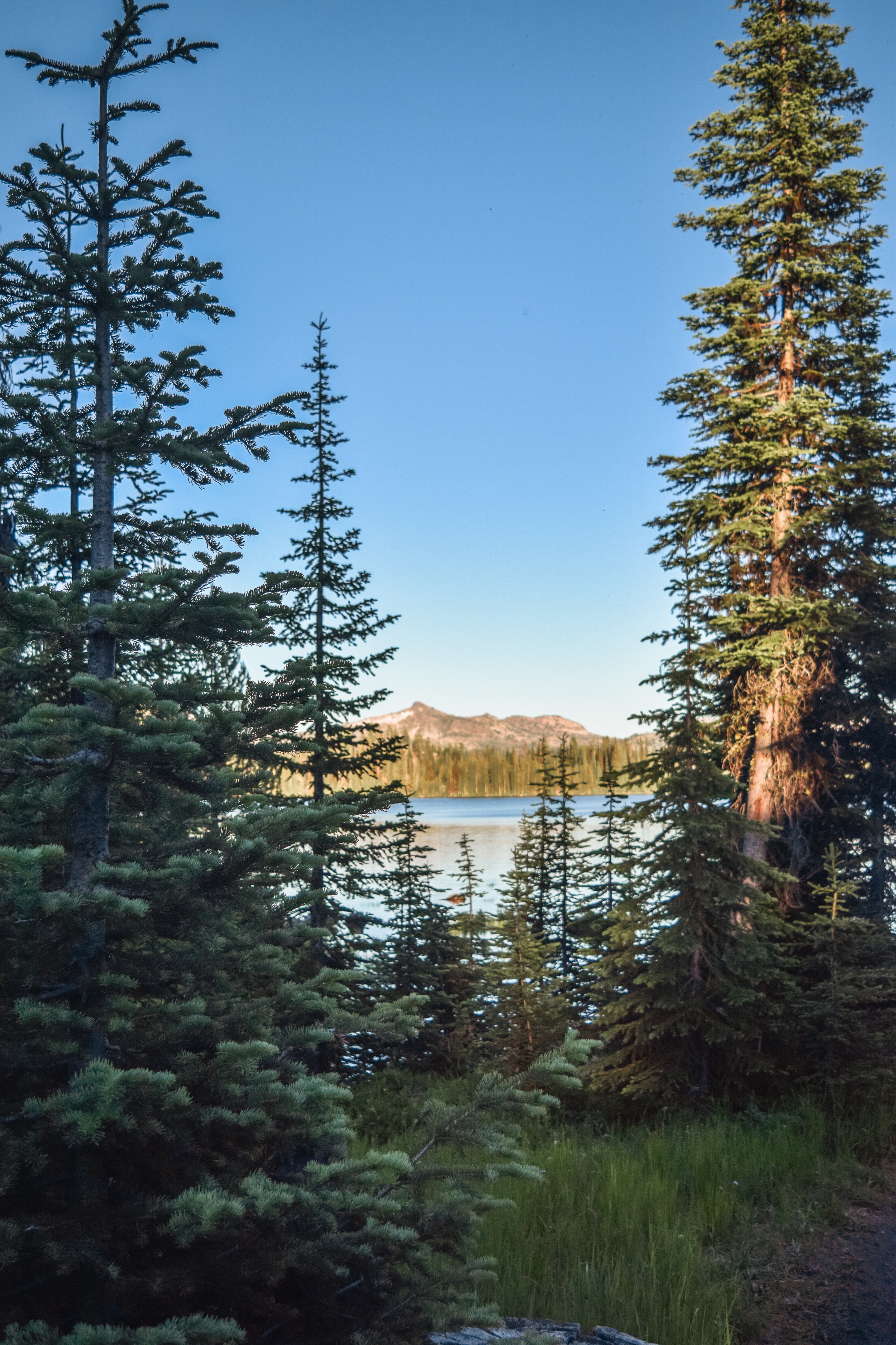 Full HD Wallpaper mountains, rivers, nature, trees, sky, spruce, fir