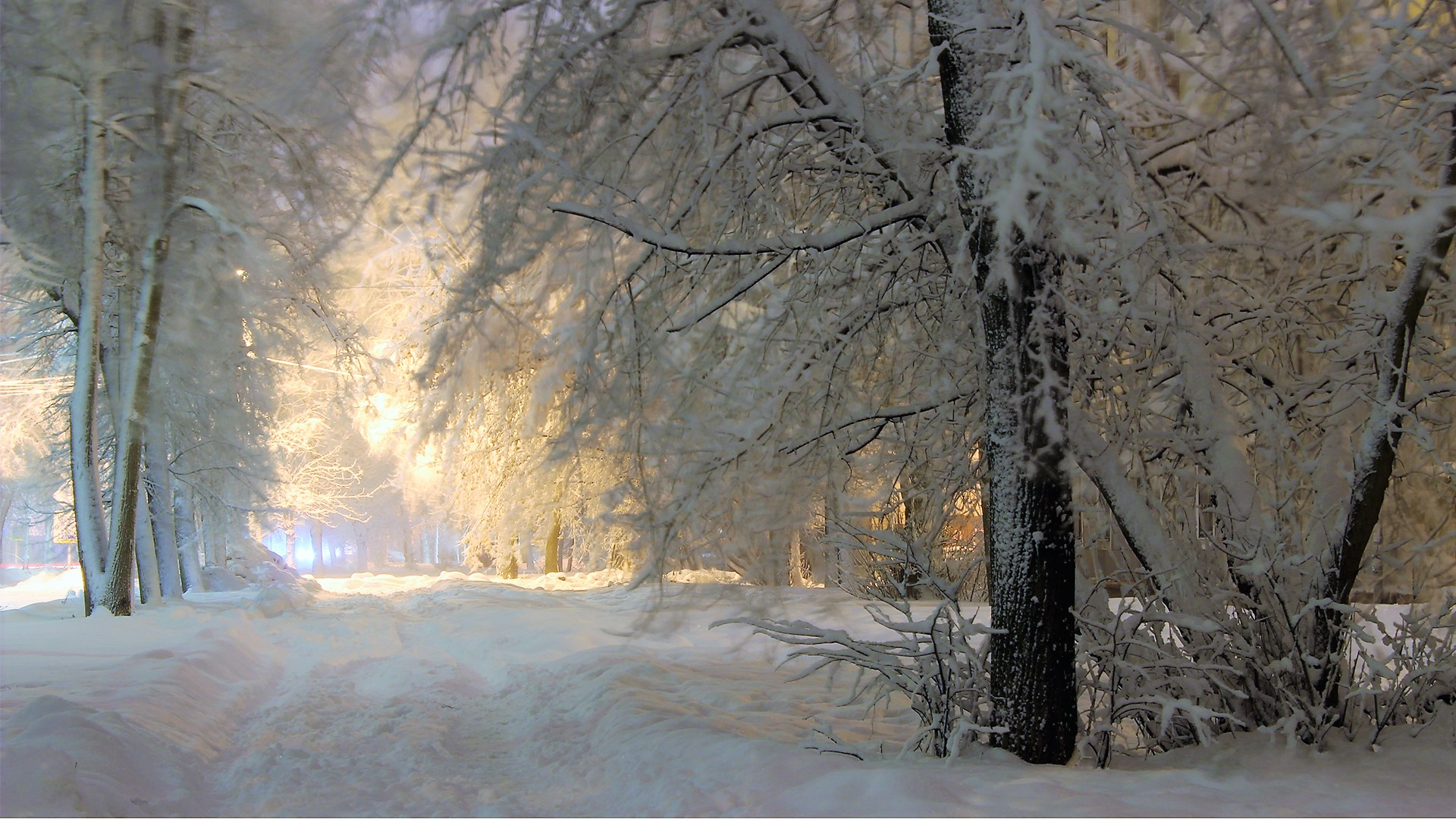 Скачать обои бесплатно Зима, Снег, Дорога, Дерево, Земля/природа картинка на рабочий стол ПК