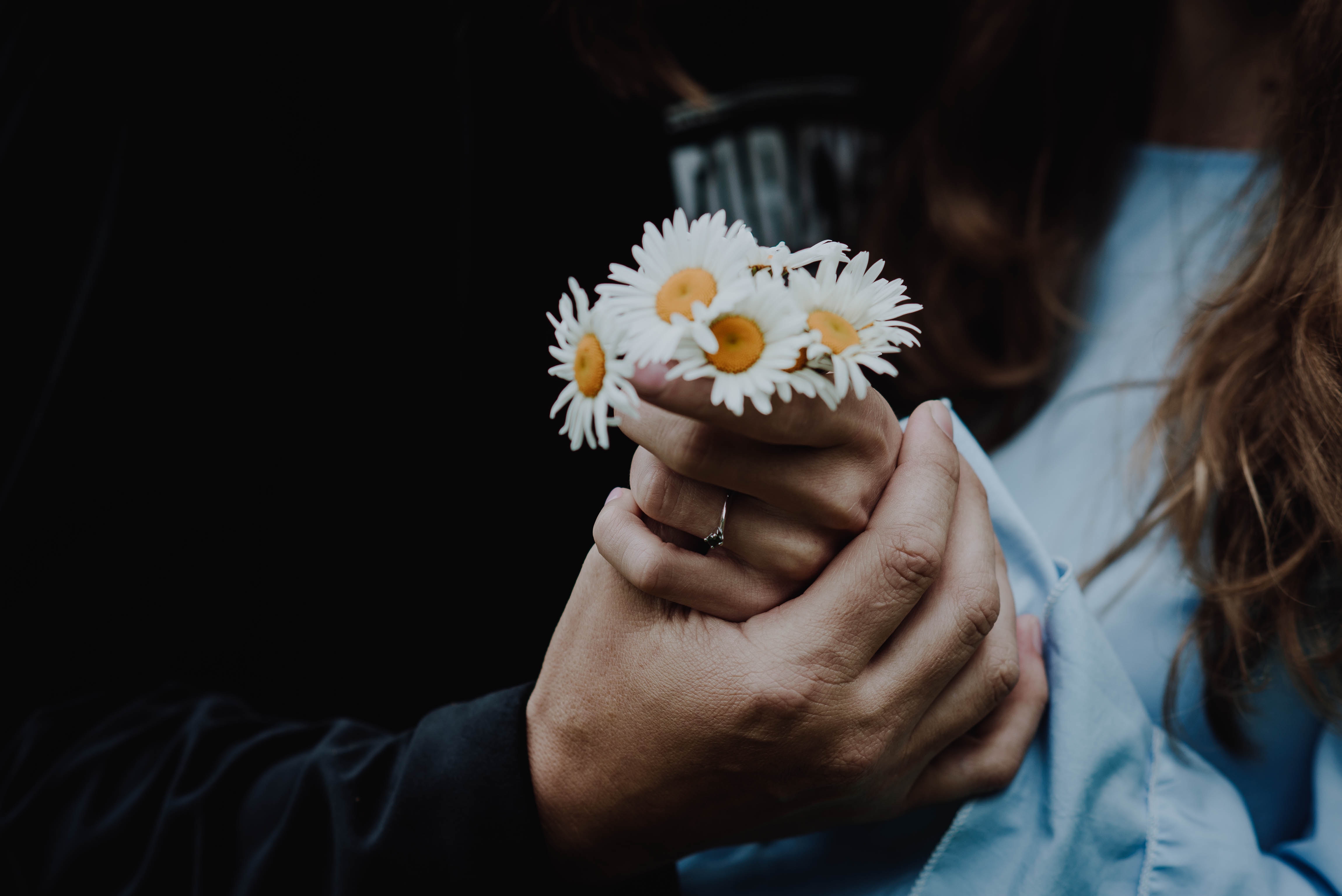 Download background flowers, camomile, hands, touching, touch