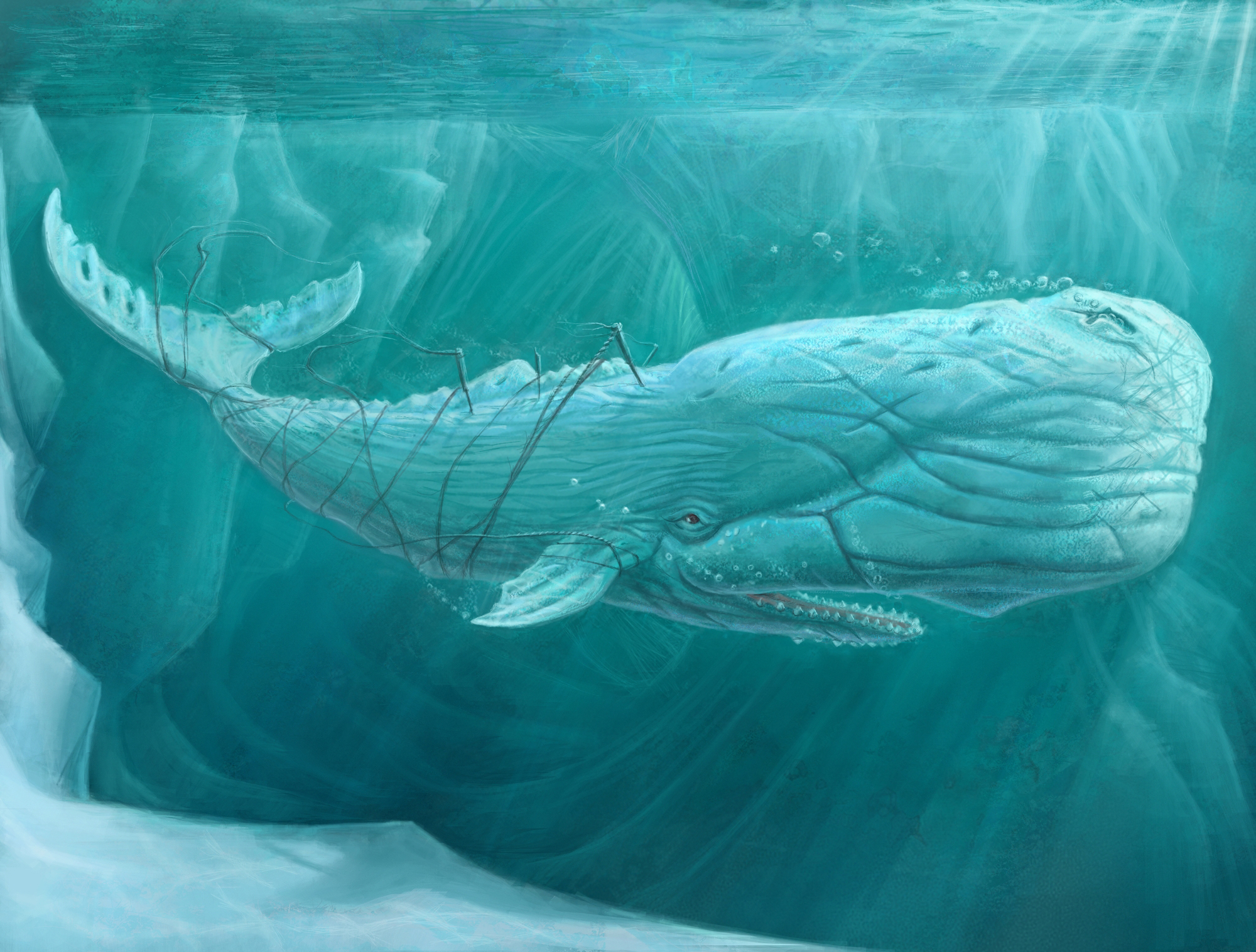 Download mobile wallpaper Fantasy, Whale, Underwater, Fantasy Animals for free.