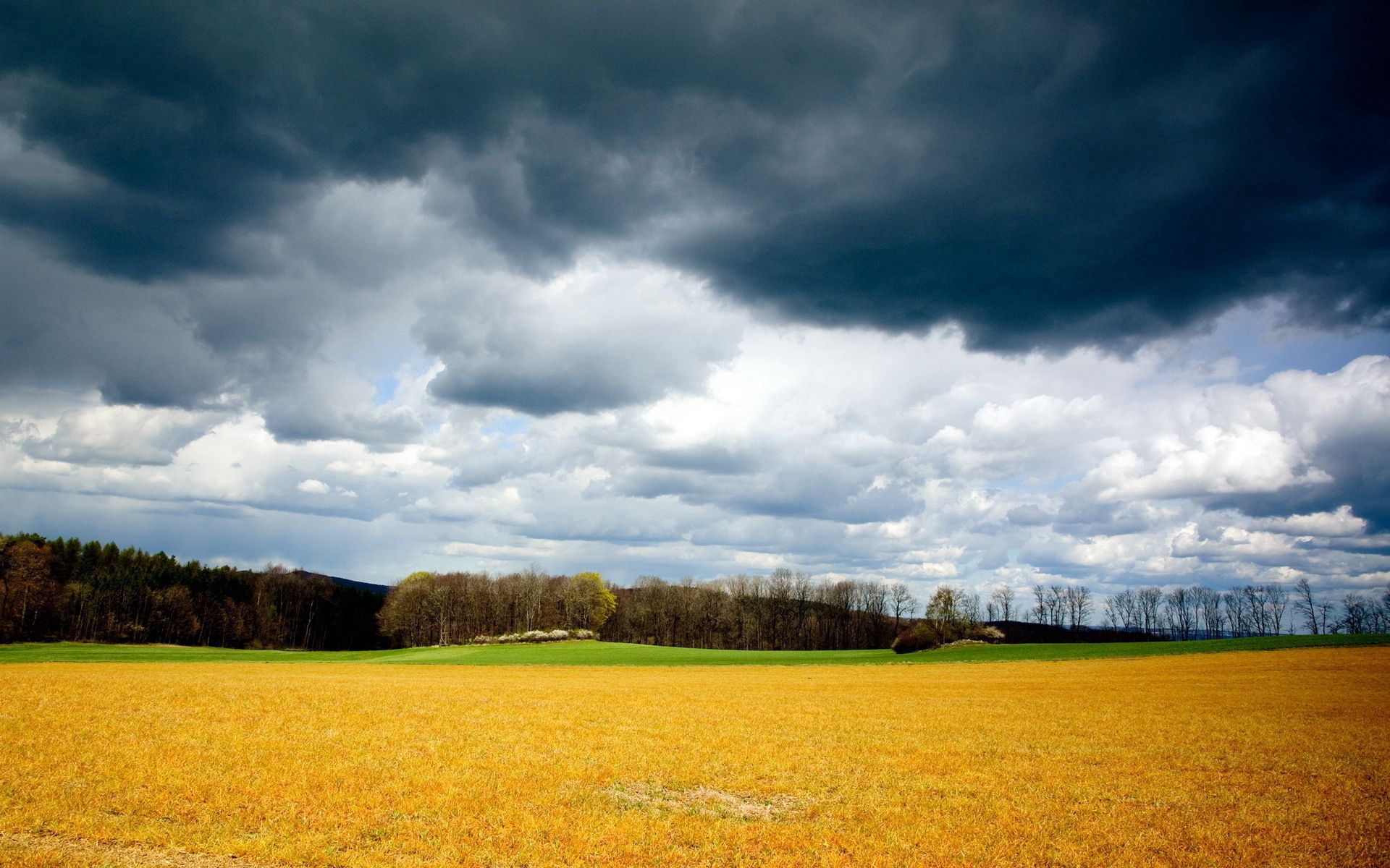 102306 завантажити шпалери природа, трава, небо, хмари, літо, сірий, жовтий, поле, похмурий, буря, сіре, серпень, грозові, скошена, скошеним - заставки і картинки безкоштовно