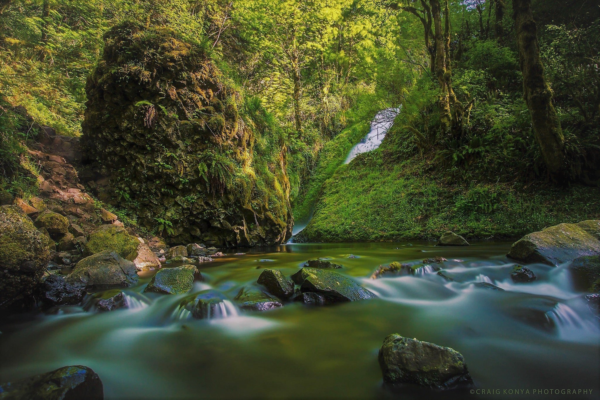 Скачать обои бесплатно Водопады, Водопад, Лес, Зеленый, Ручей, Земля/природа картинка на рабочий стол ПК