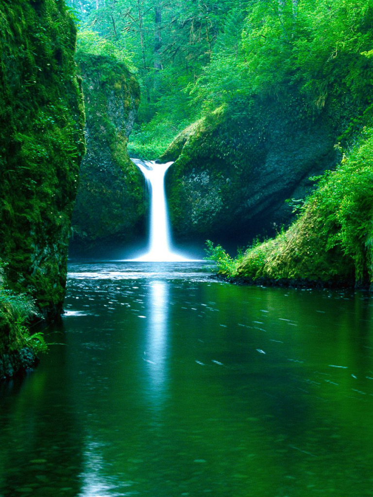 Download mobile wallpaper Nature, Water, Waterfalls, Waterfall, Earth, Greenery for free.