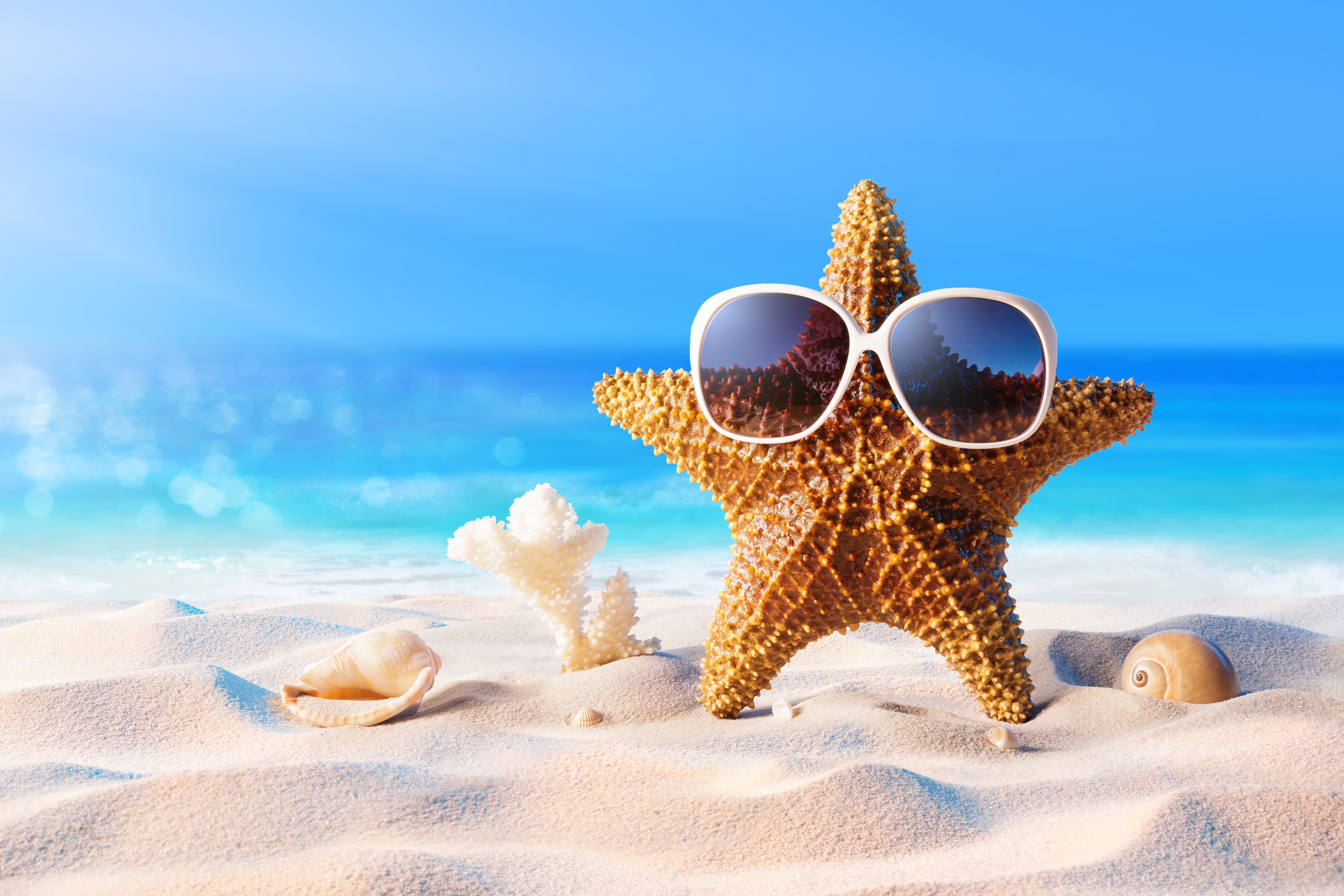 Laden Sie das Sand, Sommer, Muschel, Sonnenbrille, Seestern, Künstlerisch-Bild kostenlos auf Ihren PC-Desktop herunter