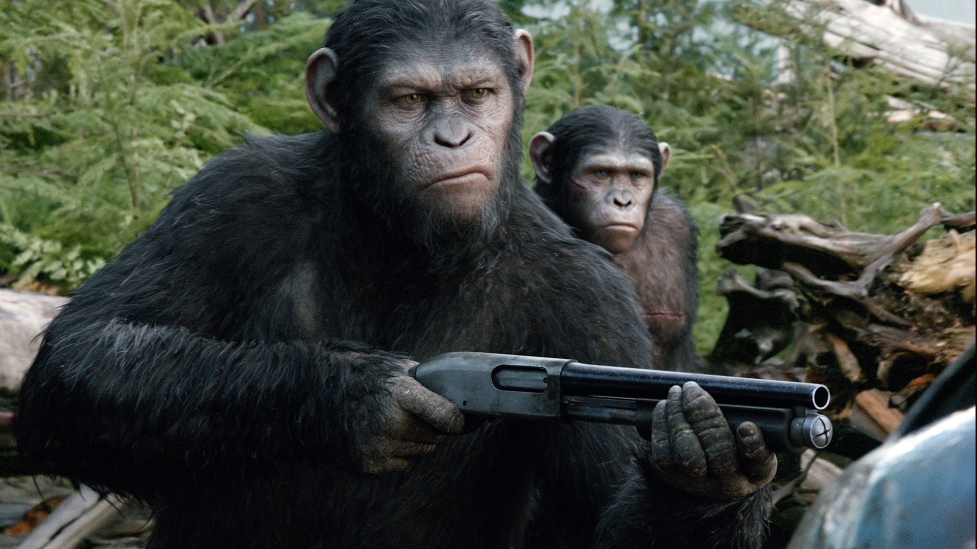 748987 descargar fondo de pantalla películas, el planeta de los simios: confrontación: protectores de pantalla e imágenes gratis