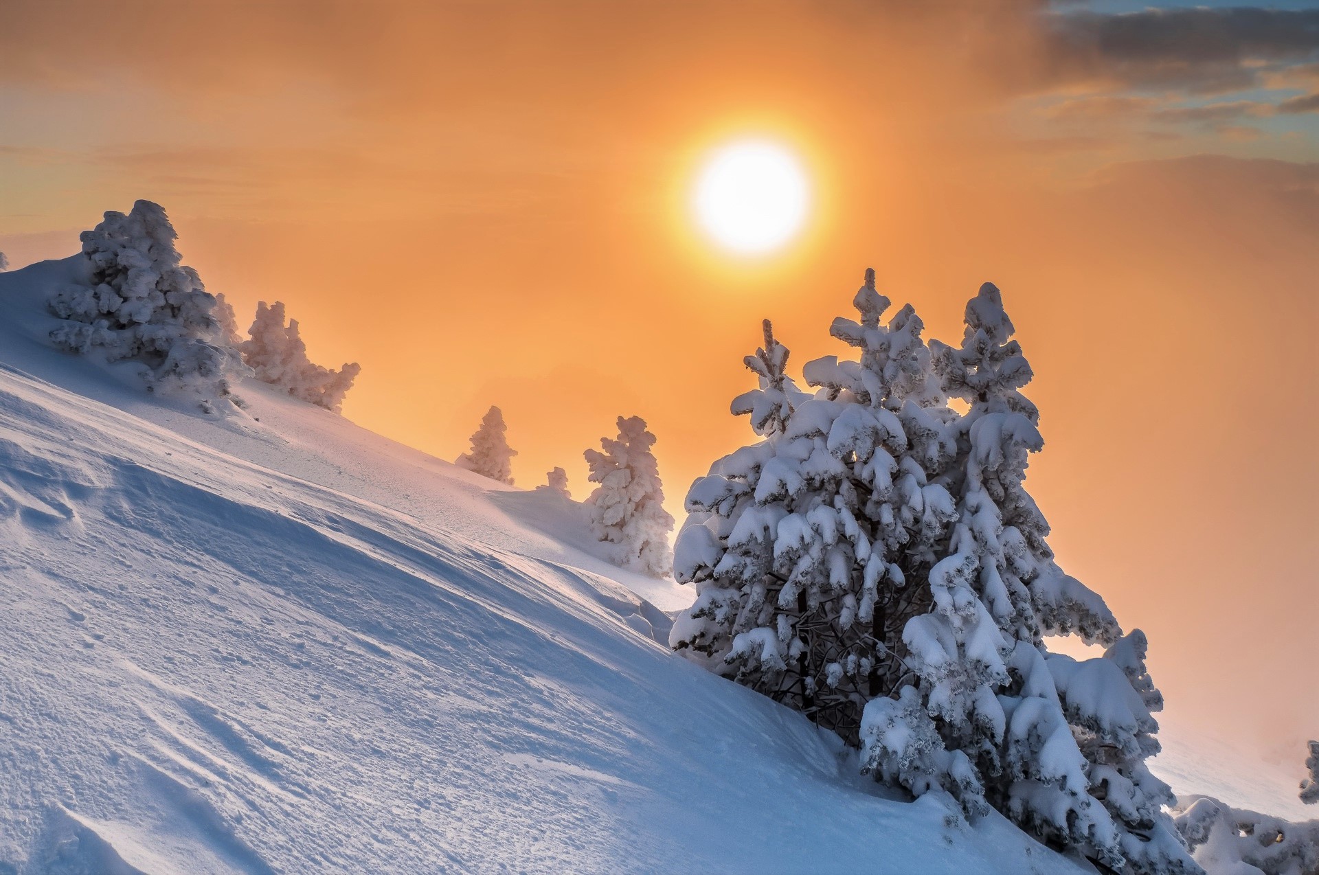 Baixe gratuitamente a imagem Inverno, Pôr Do Sol, Sol, Neve, Floresta, Árvore, Terra/natureza na área de trabalho do seu PC