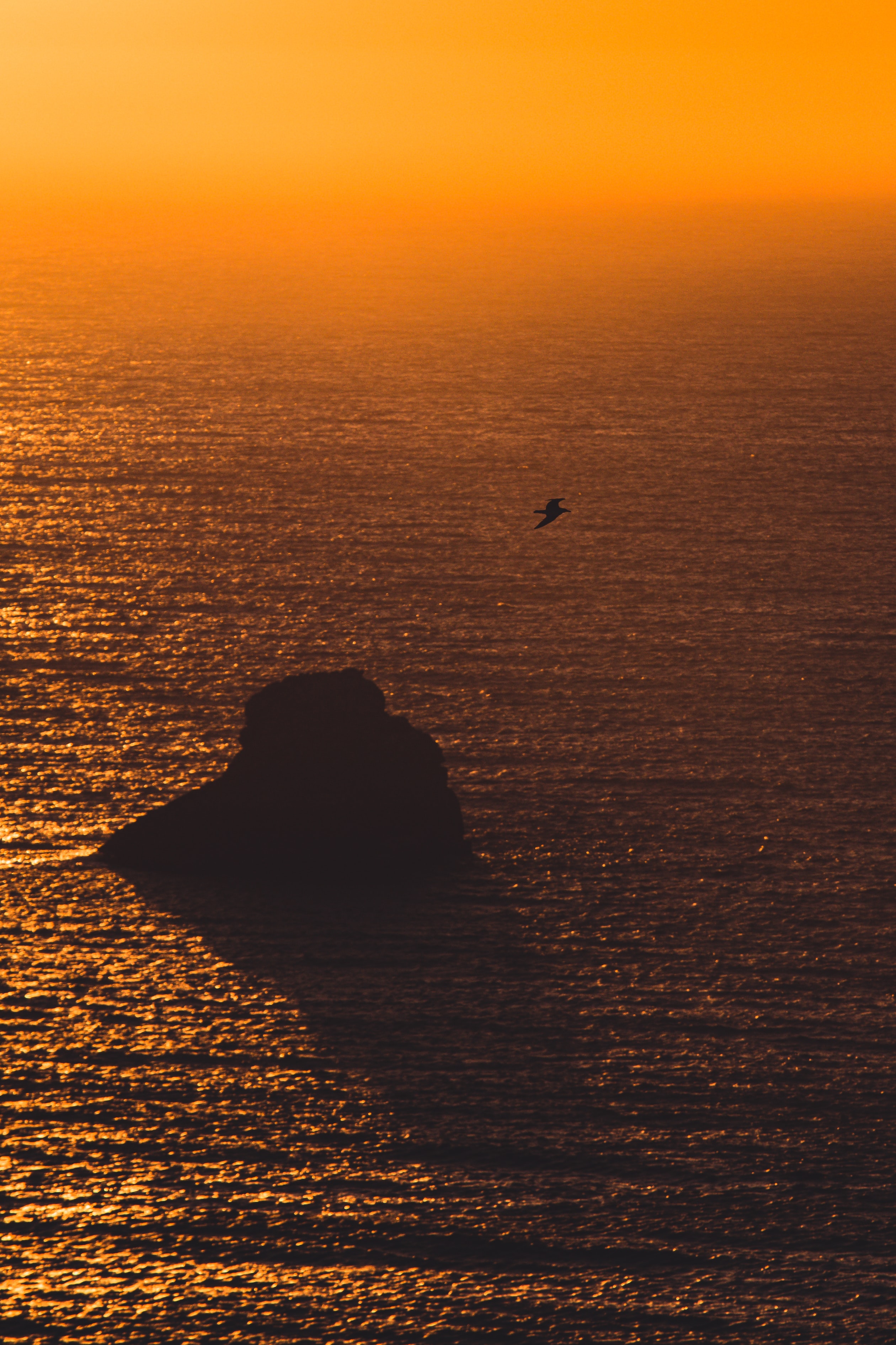 Laden Sie das Natur, Felsen, Rock, Blendung, Möwe, Sunset, Sea-Bild kostenlos auf Ihren PC-Desktop herunter