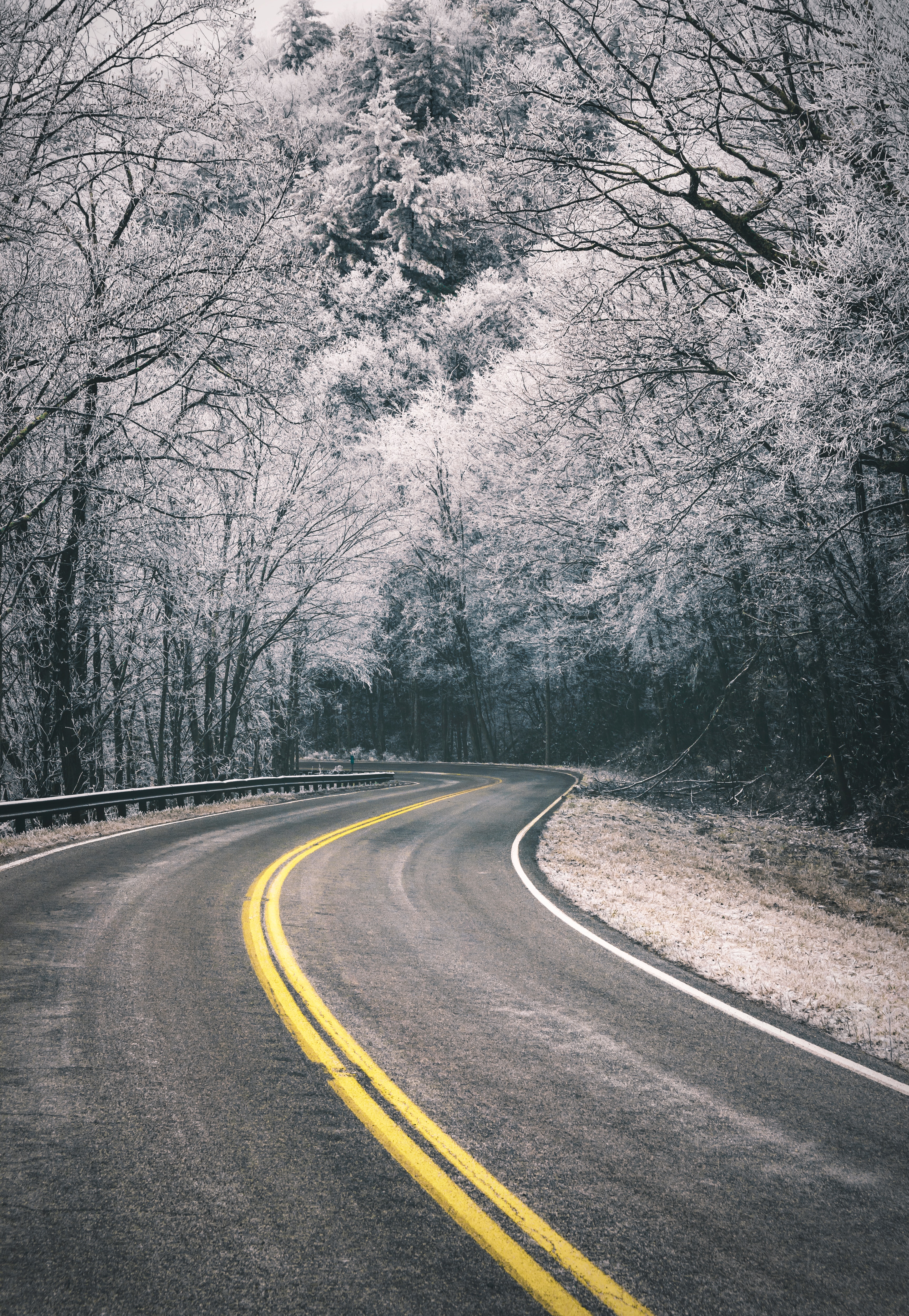 Download mobile wallpaper Frost, Hoarfrost, Road, Turn, Trees, Nature for free.