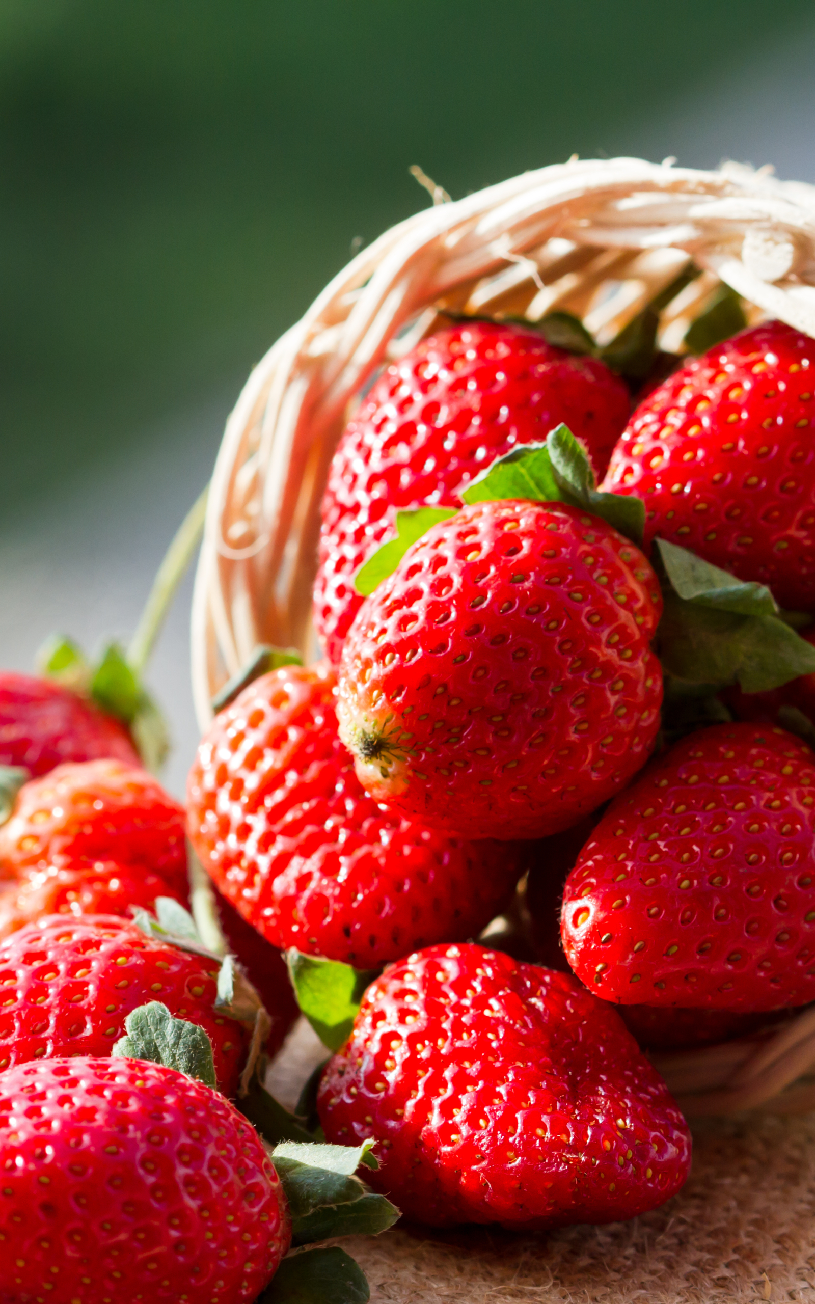 Laden Sie das Obst, Erdbeere, Beere, Frucht, Korb, Nahrungsmittel, Früchte-Bild kostenlos auf Ihren PC-Desktop herunter