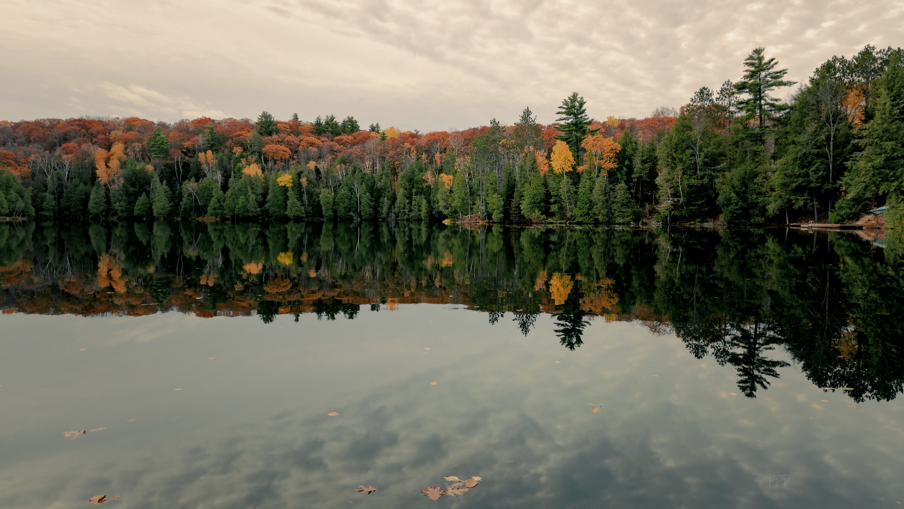 Laden Sie das Herbst, Seen, See, Wald, Erde/natur, Spiegelung-Bild kostenlos auf Ihren PC-Desktop herunter