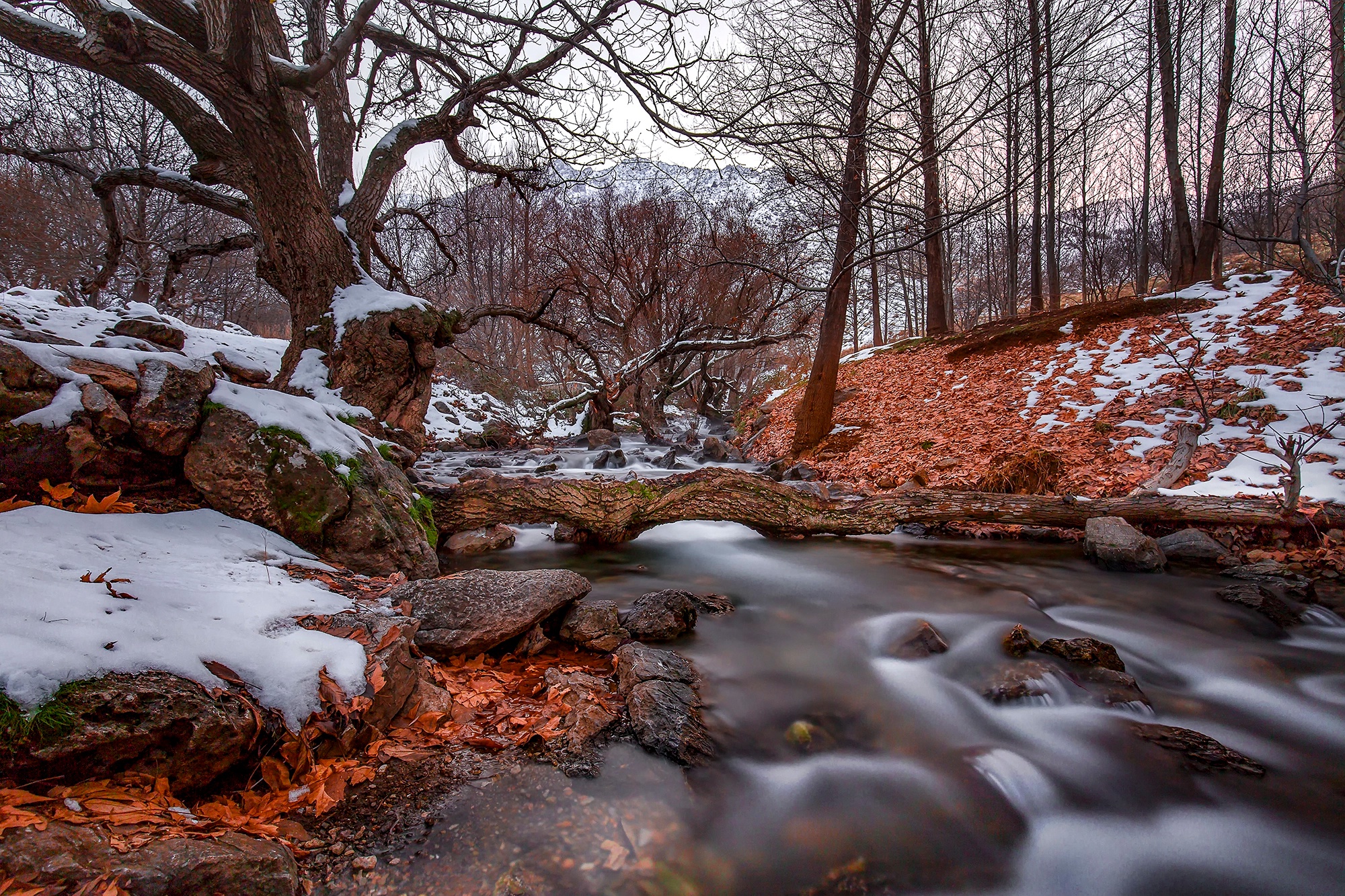 Скачать картинку Зима, Природа, Река, Земля/природа в телефон бесплатно.