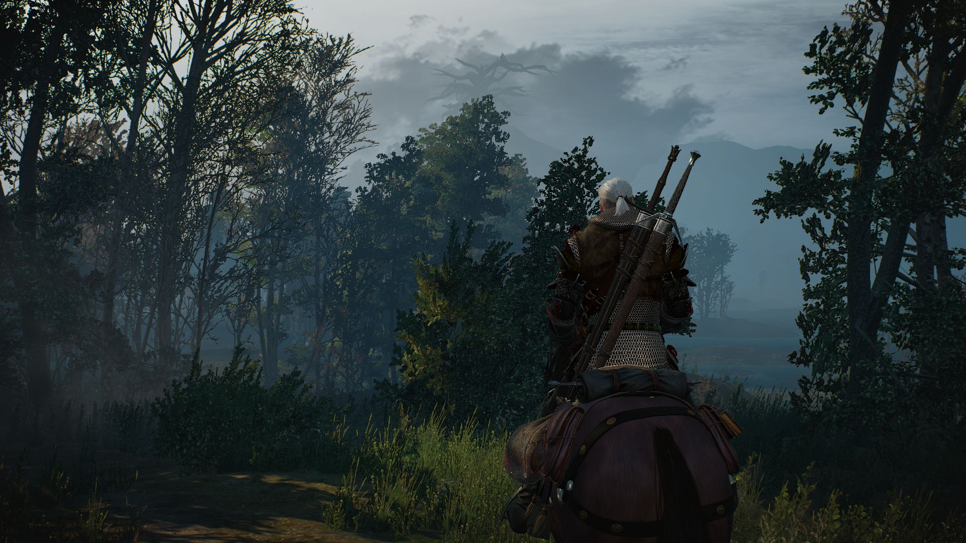 Free download wallpaper Video Game, The Witcher, Geralt Of Rivia, The Witcher 3: Wild Hunt on your PC desktop