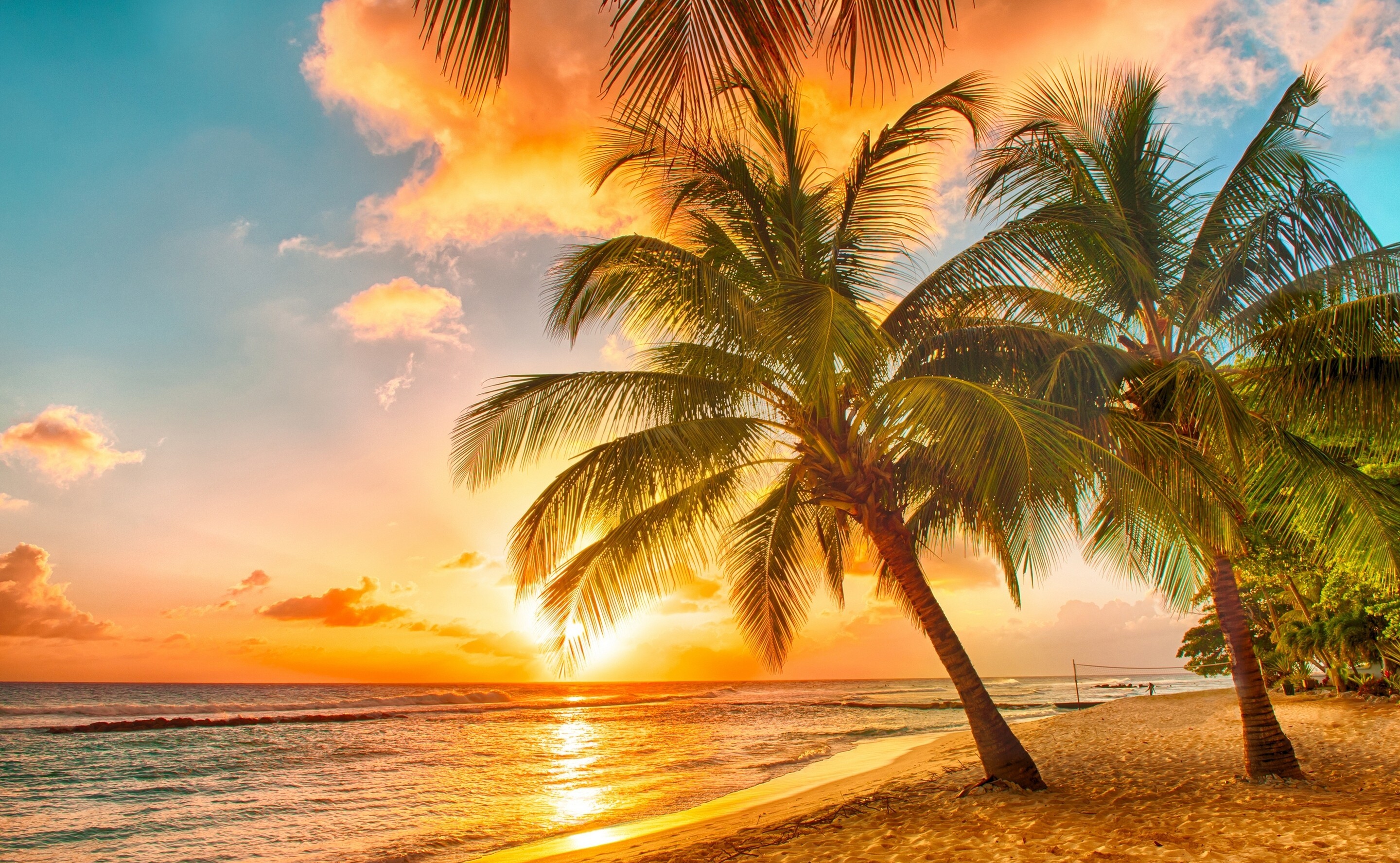 Free download wallpaper Sunset, Sky, Sea, Earth, Tropics, Cloud, Palm Tree on your PC desktop