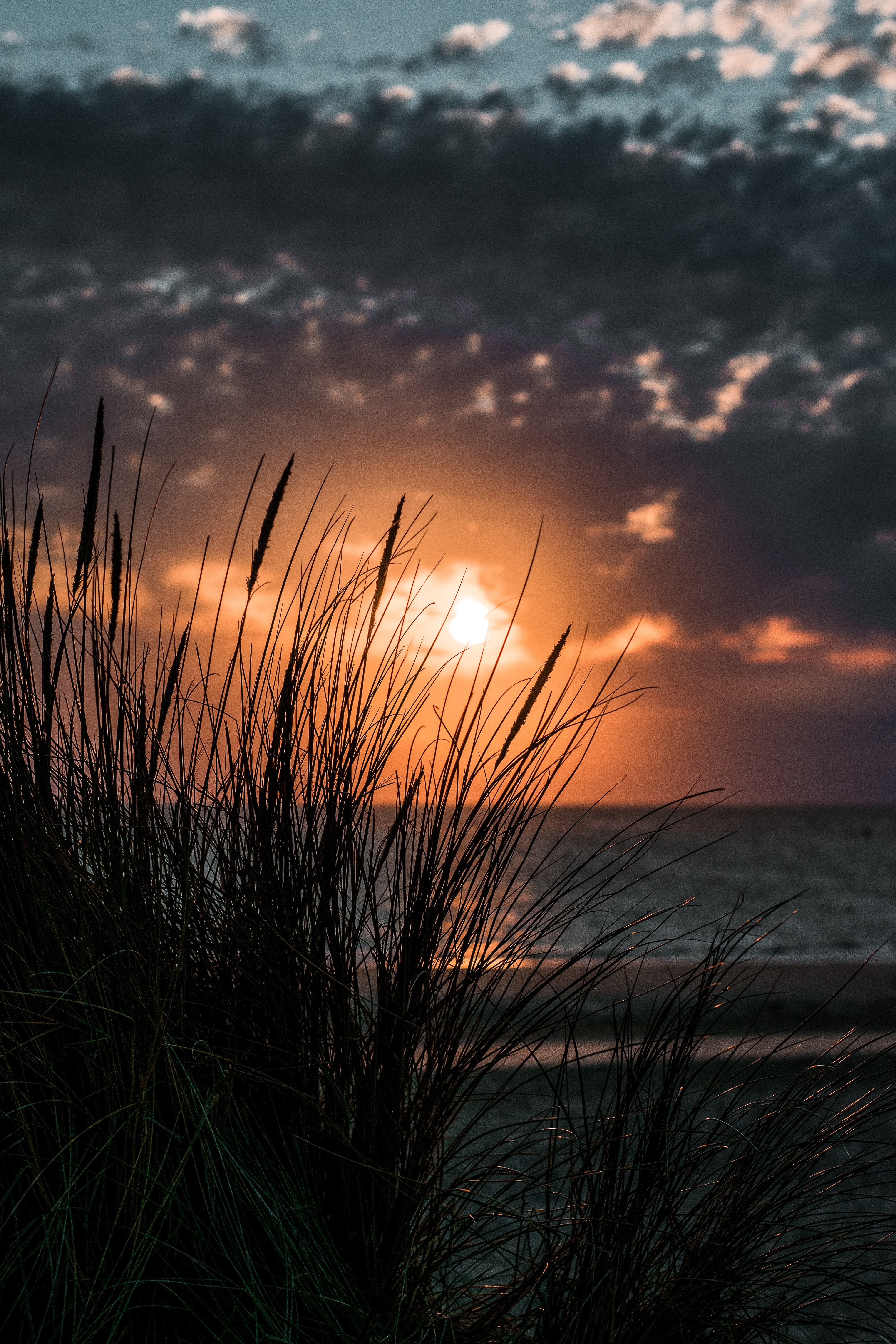 sunset, nature, grass, sea, horizon iphone wallpaper