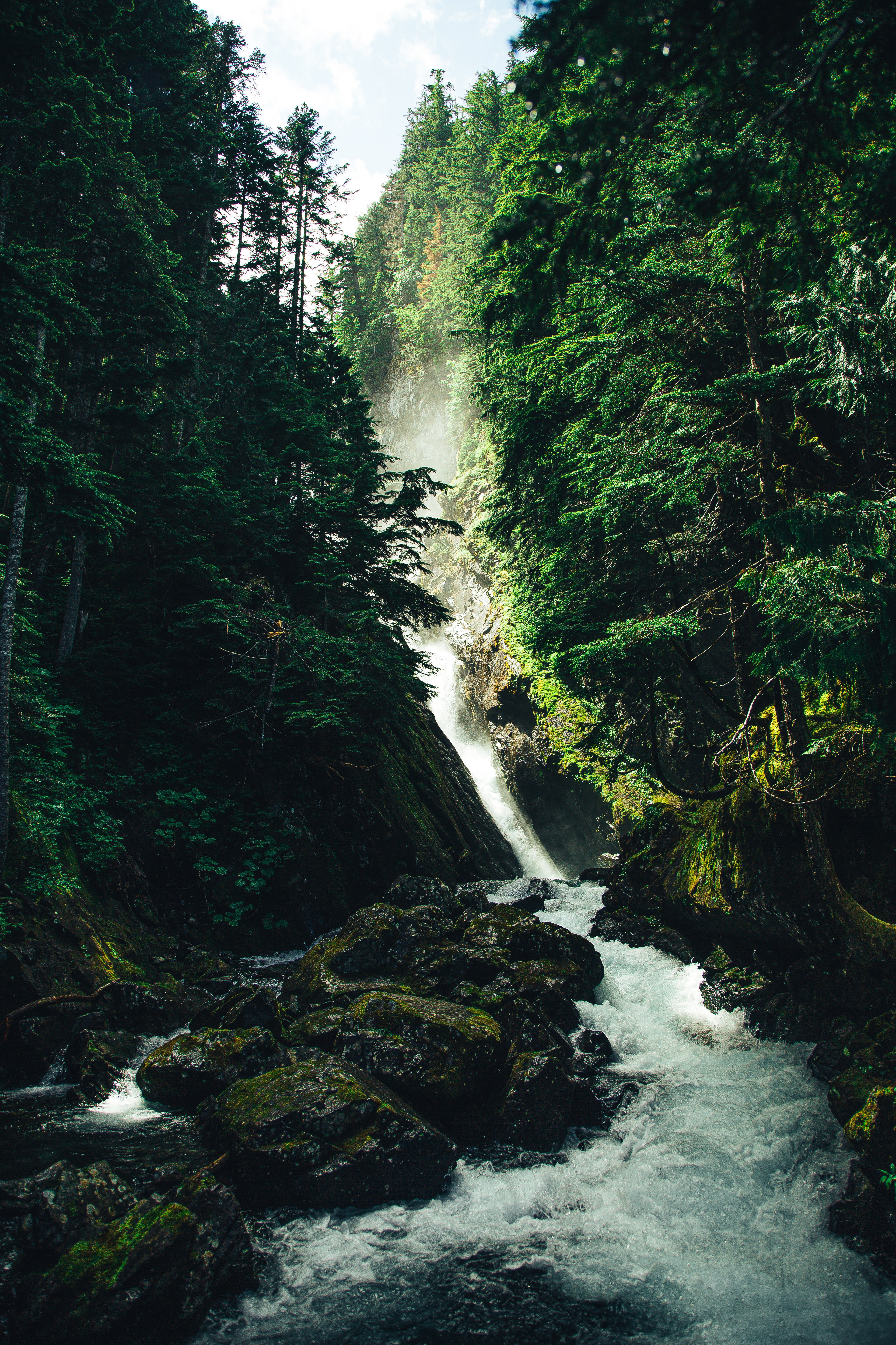 PCデスクトップに自然, 木, ストーンズ, 滝, 森, 森林画像を無料でダウンロード