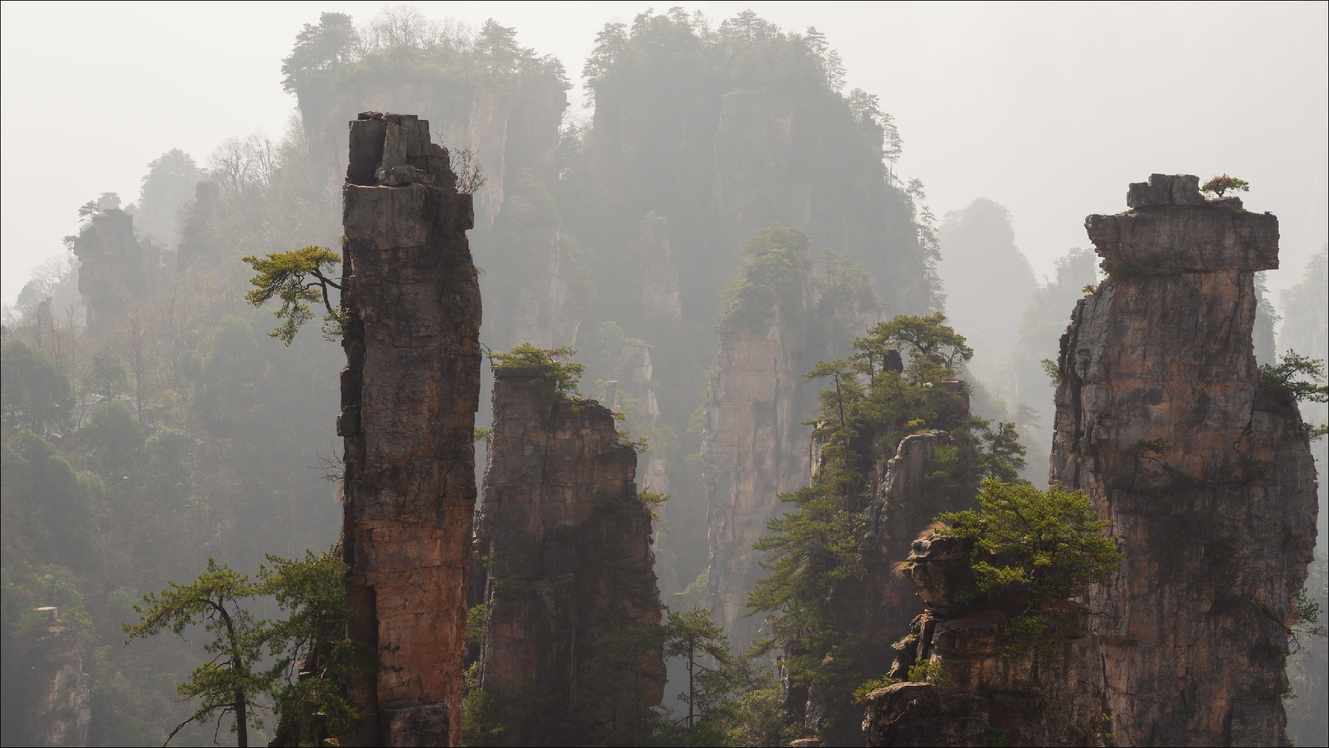493918 Hintergrundbilder und Nationaler Waldpark Zhangjiajie Bilder auf dem Desktop. Laden Sie  Bildschirmschoner kostenlos auf den PC herunter