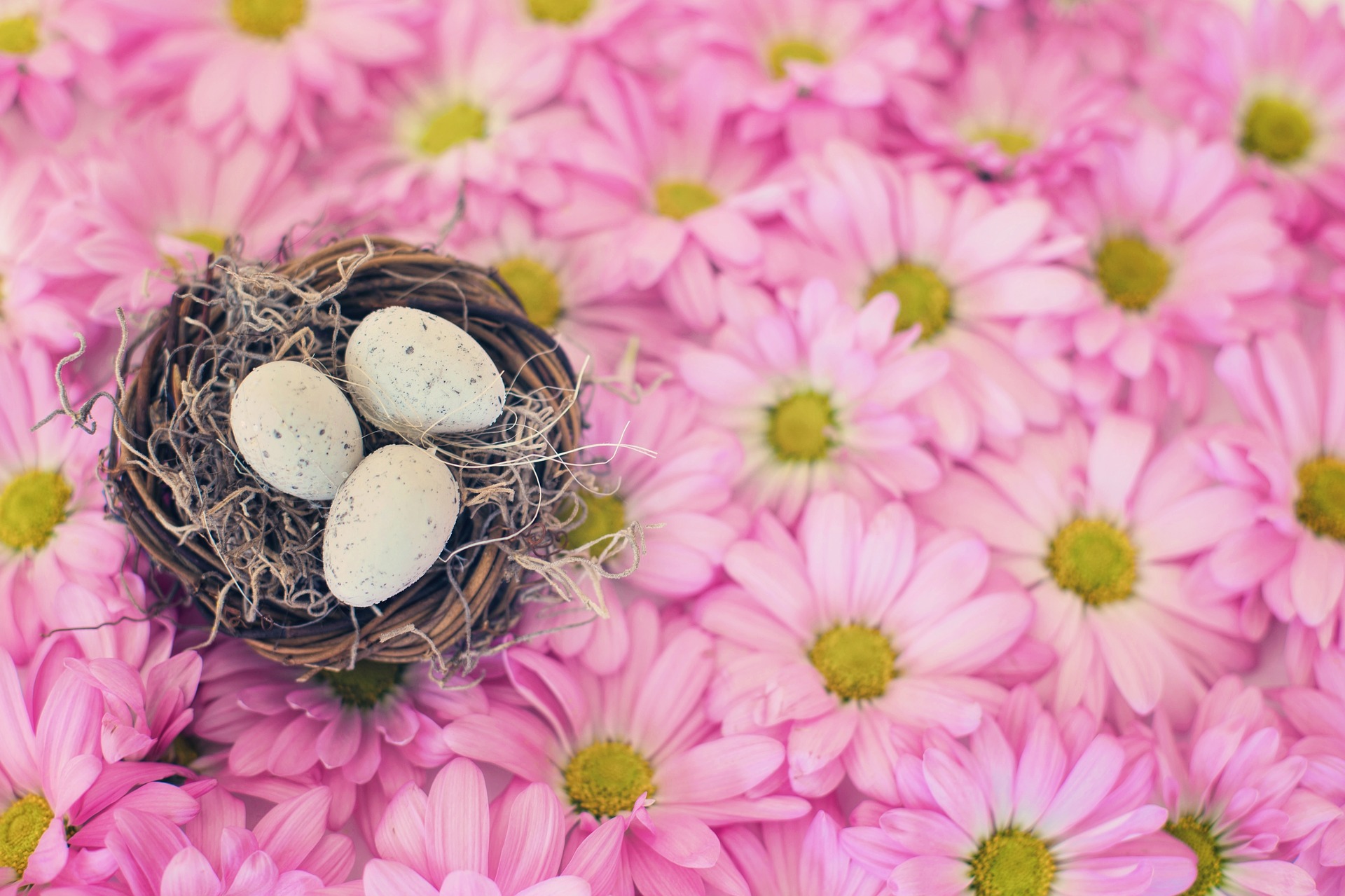 Laden Sie das Feiertage, Ostern-Bild kostenlos auf Ihren PC-Desktop herunter