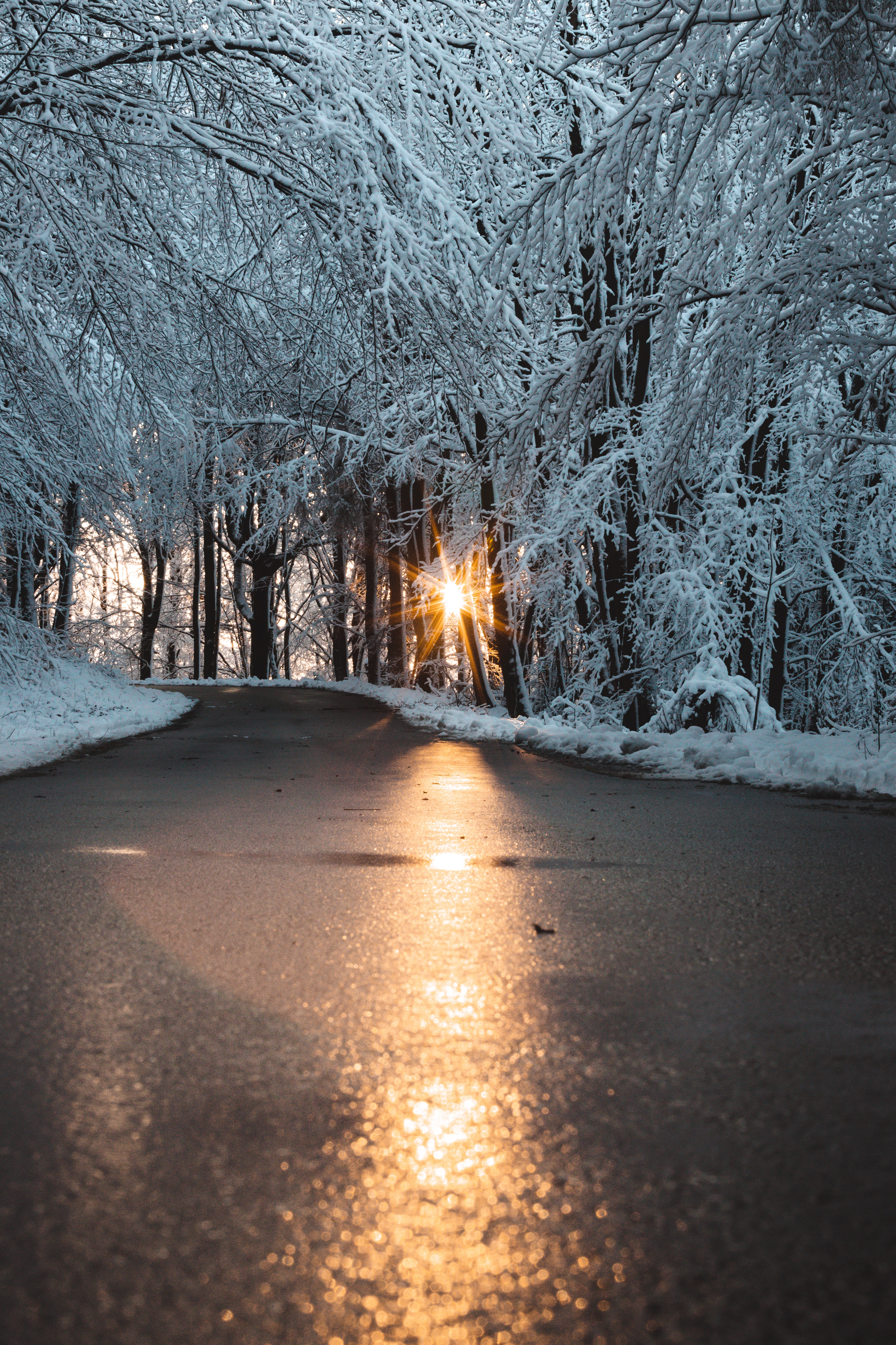 Descarga gratis la imagen Invierno, Naturaleza, Sol, Nieve, Camino en el escritorio de tu PC